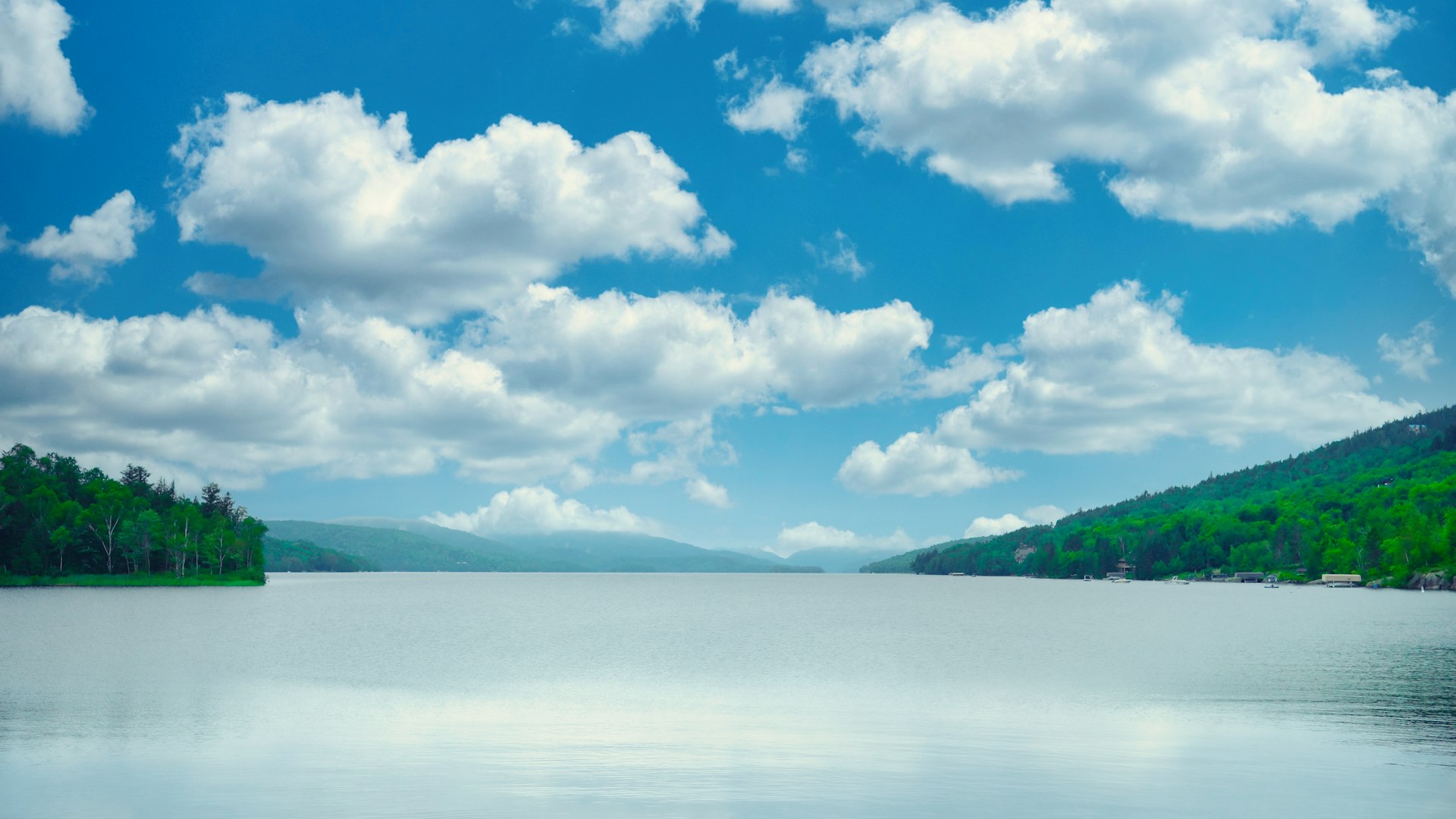 A large body of water surrounded by trees