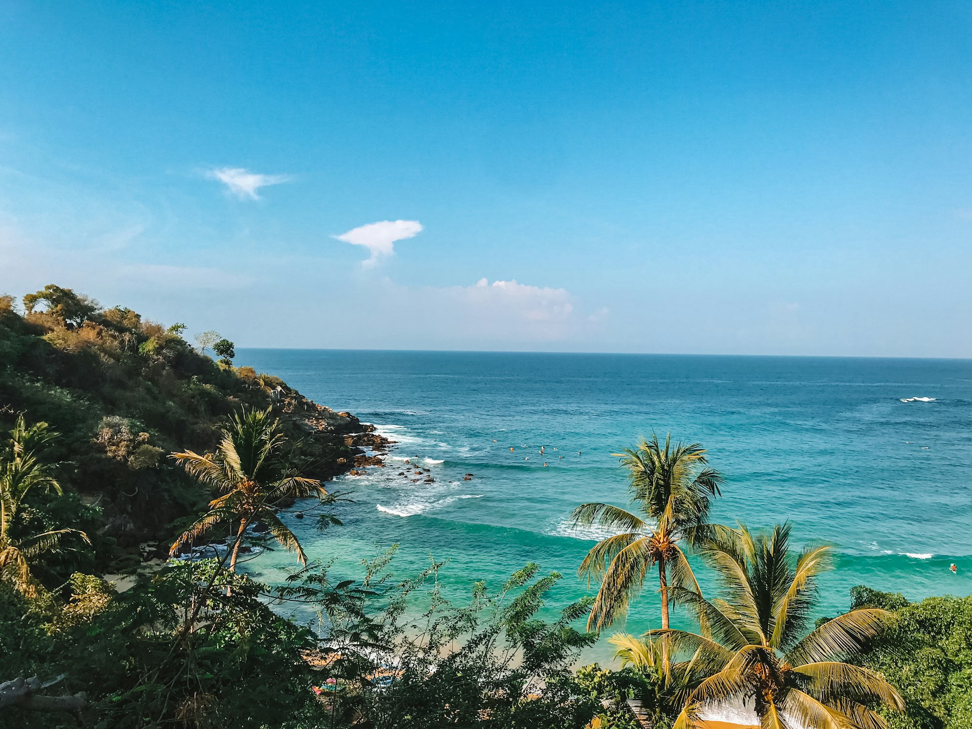 green palm tree near sea under blue sky during daytime