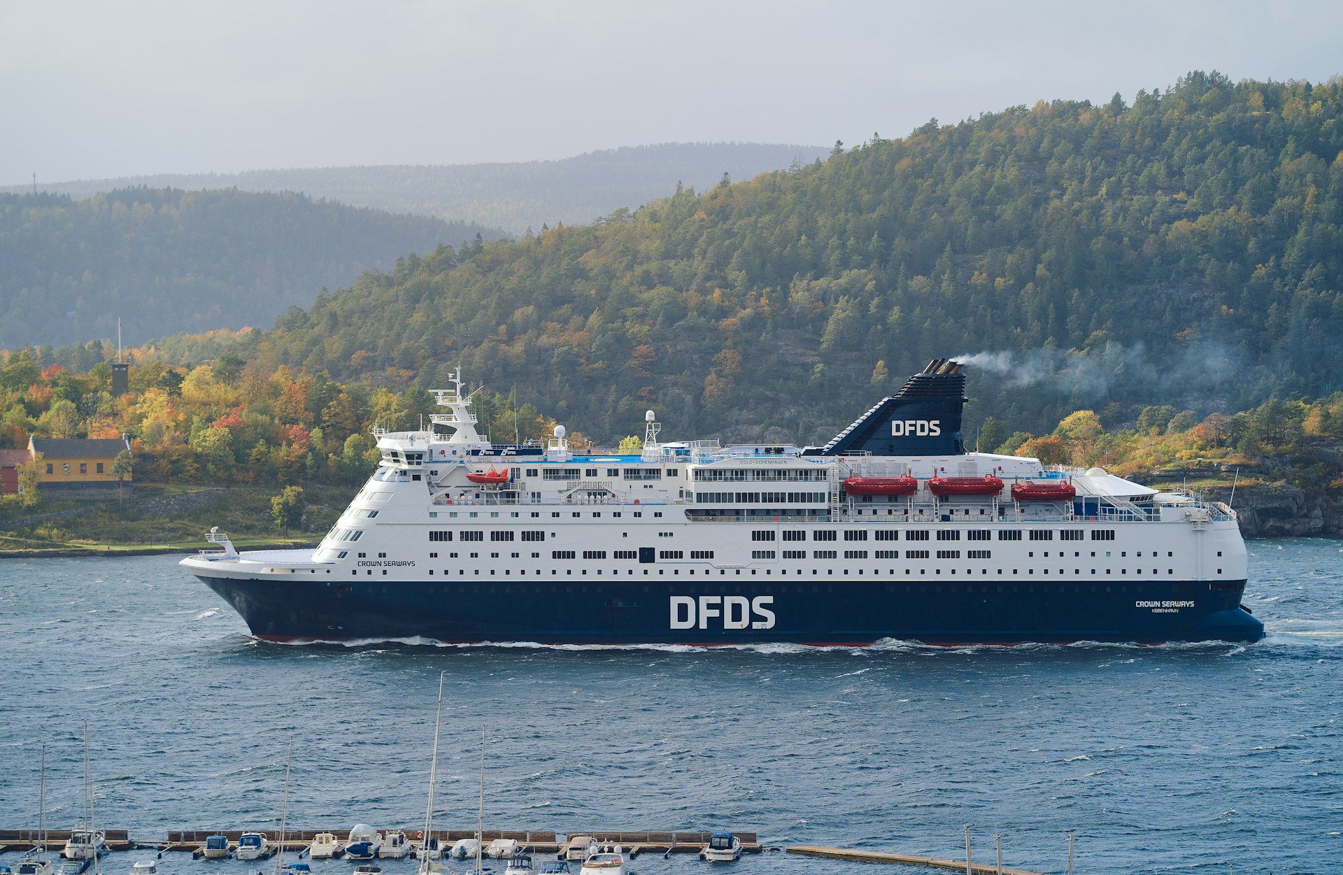 white and black cruise ship on sea during daytime