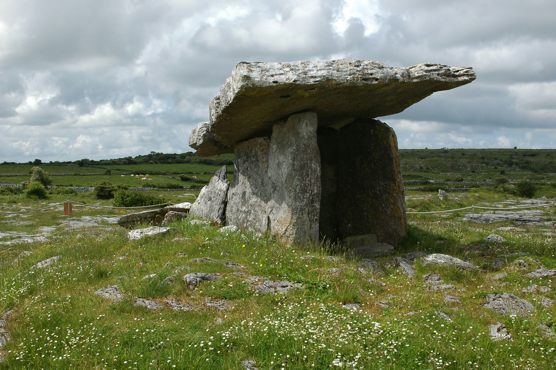 a large rock sitting on top of a lush green field