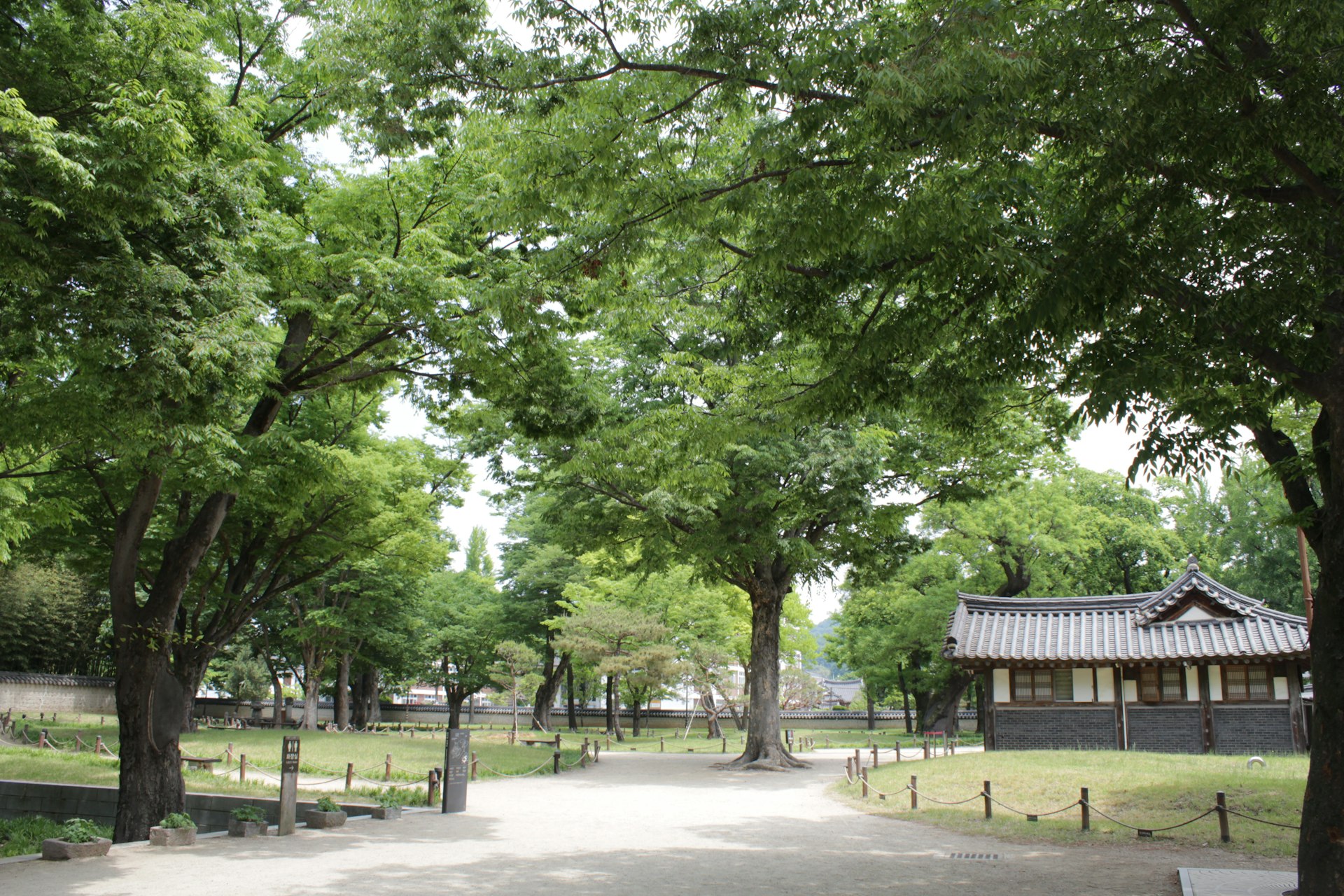 a park with trees and a building in the background