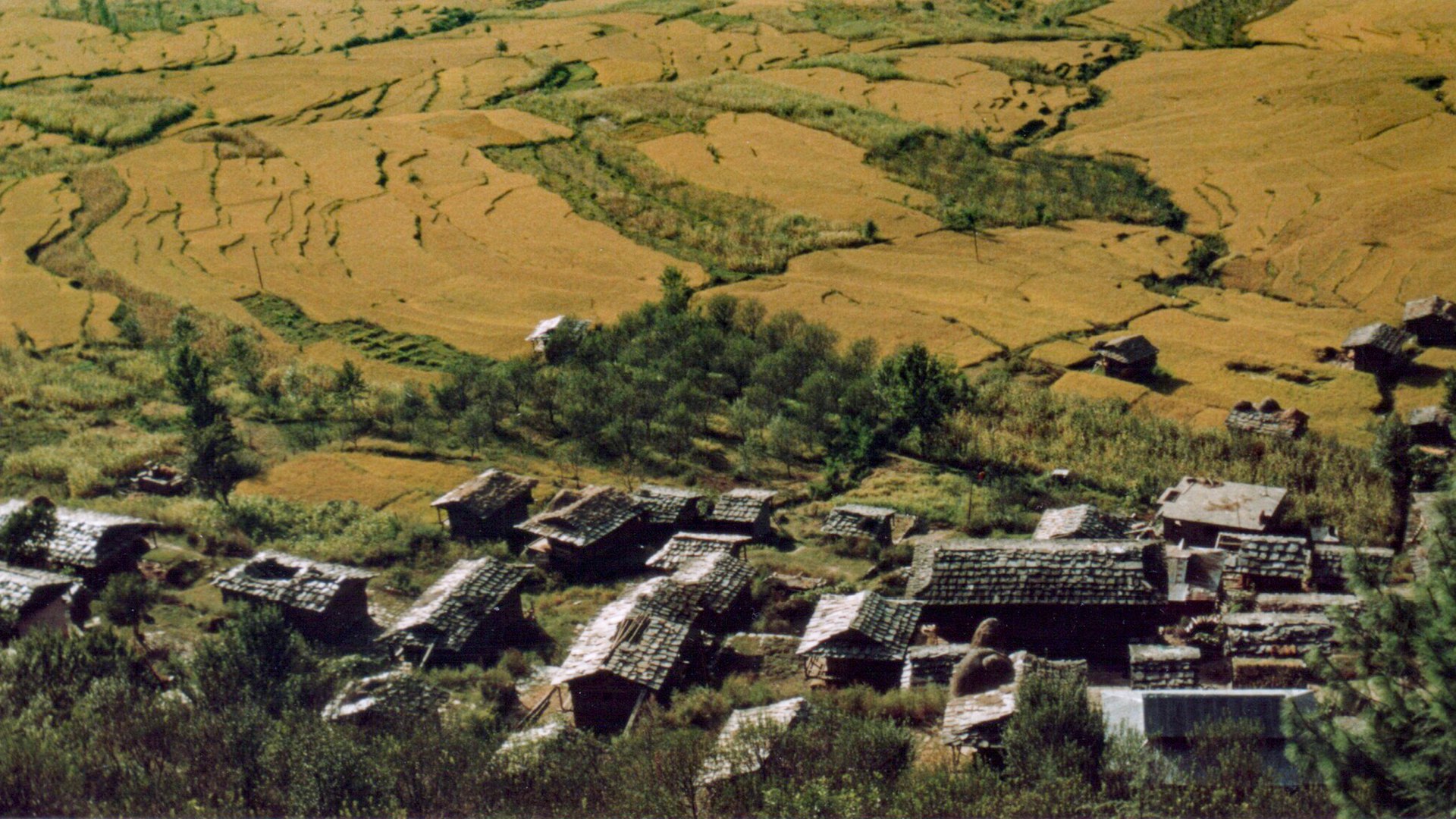 a view of a village in the middle of a field
