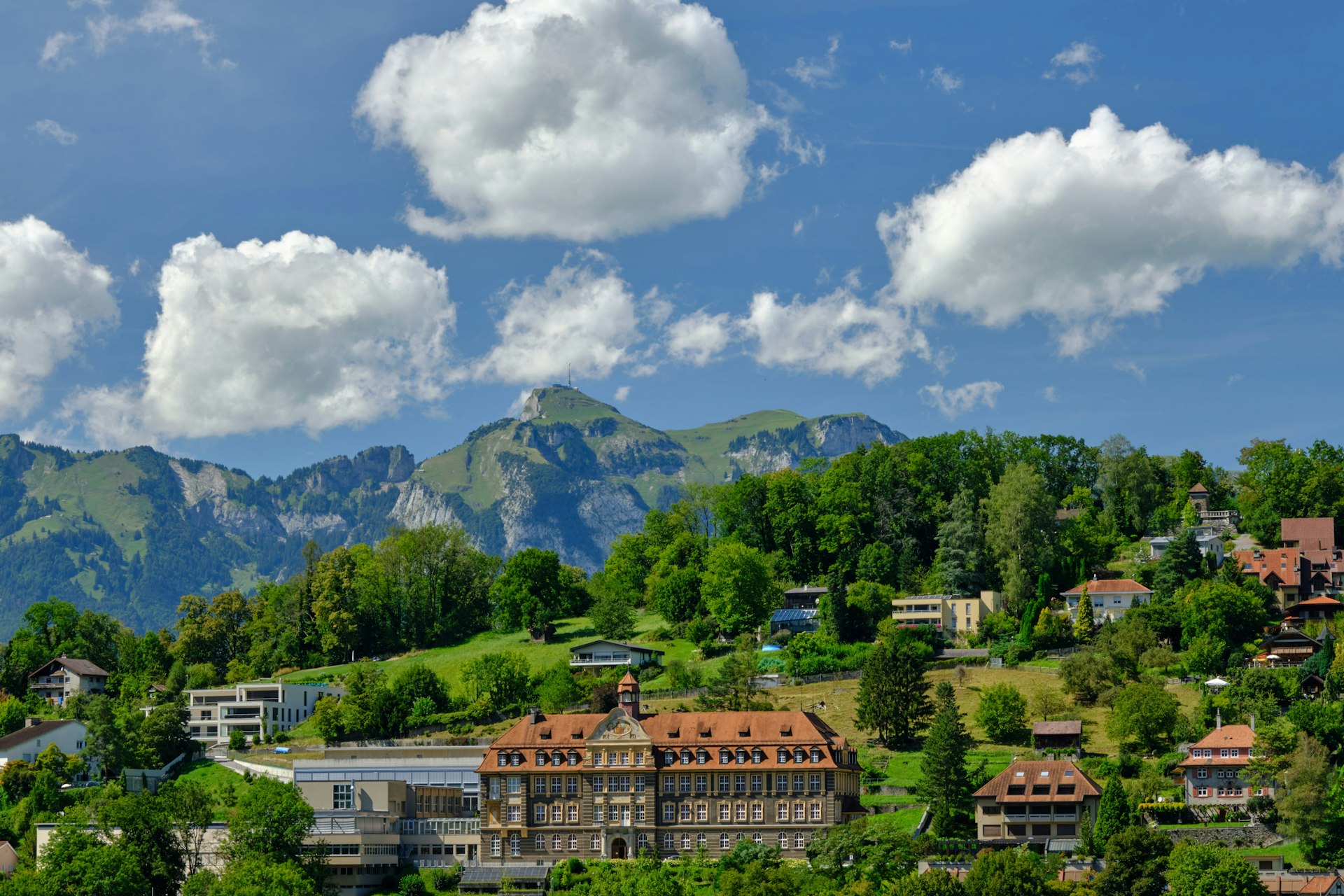 green trees and brown building under blue sky and white clouds during daytime