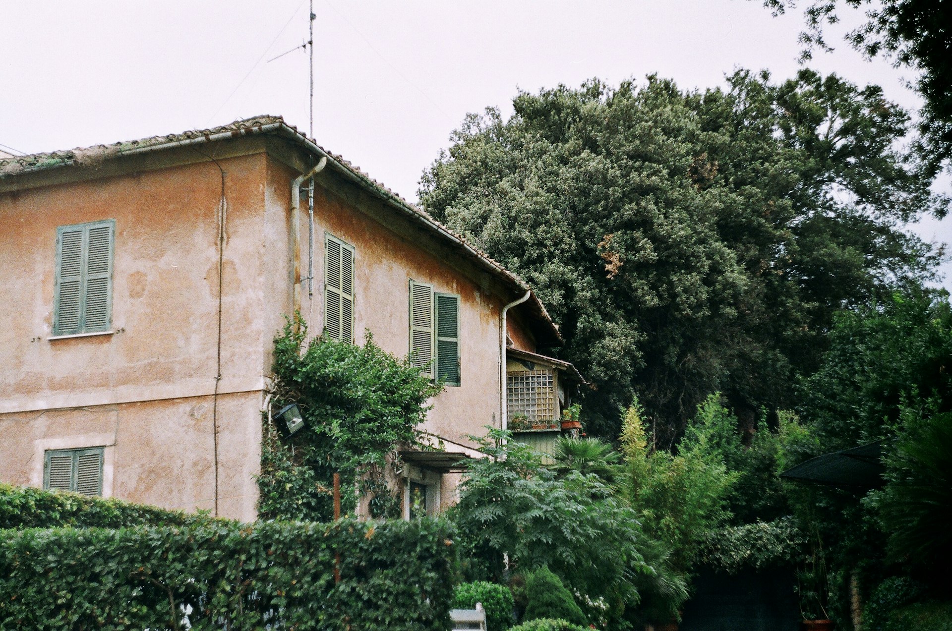 green trees near brown concrete building during daytime