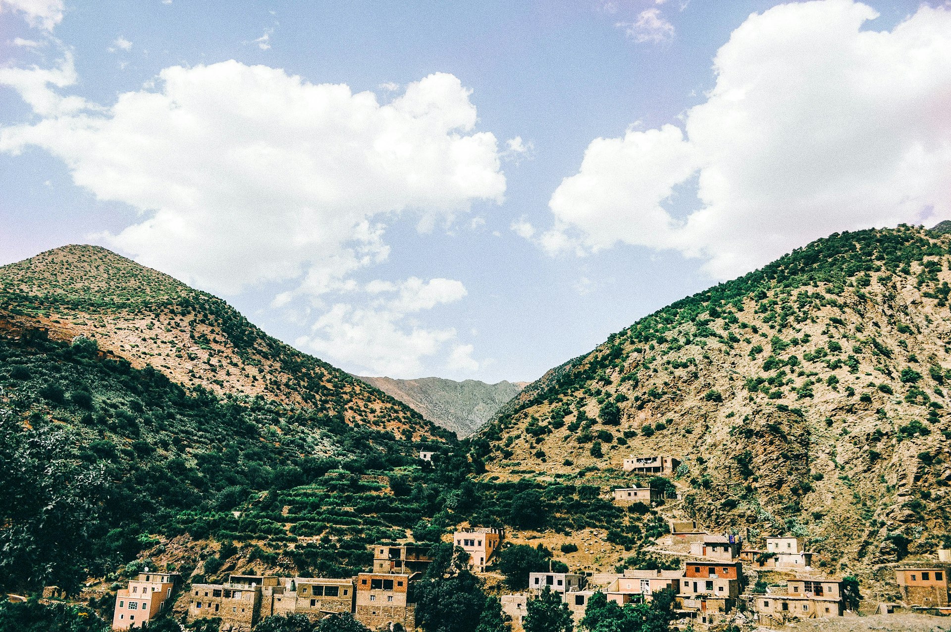 aerial photography of city