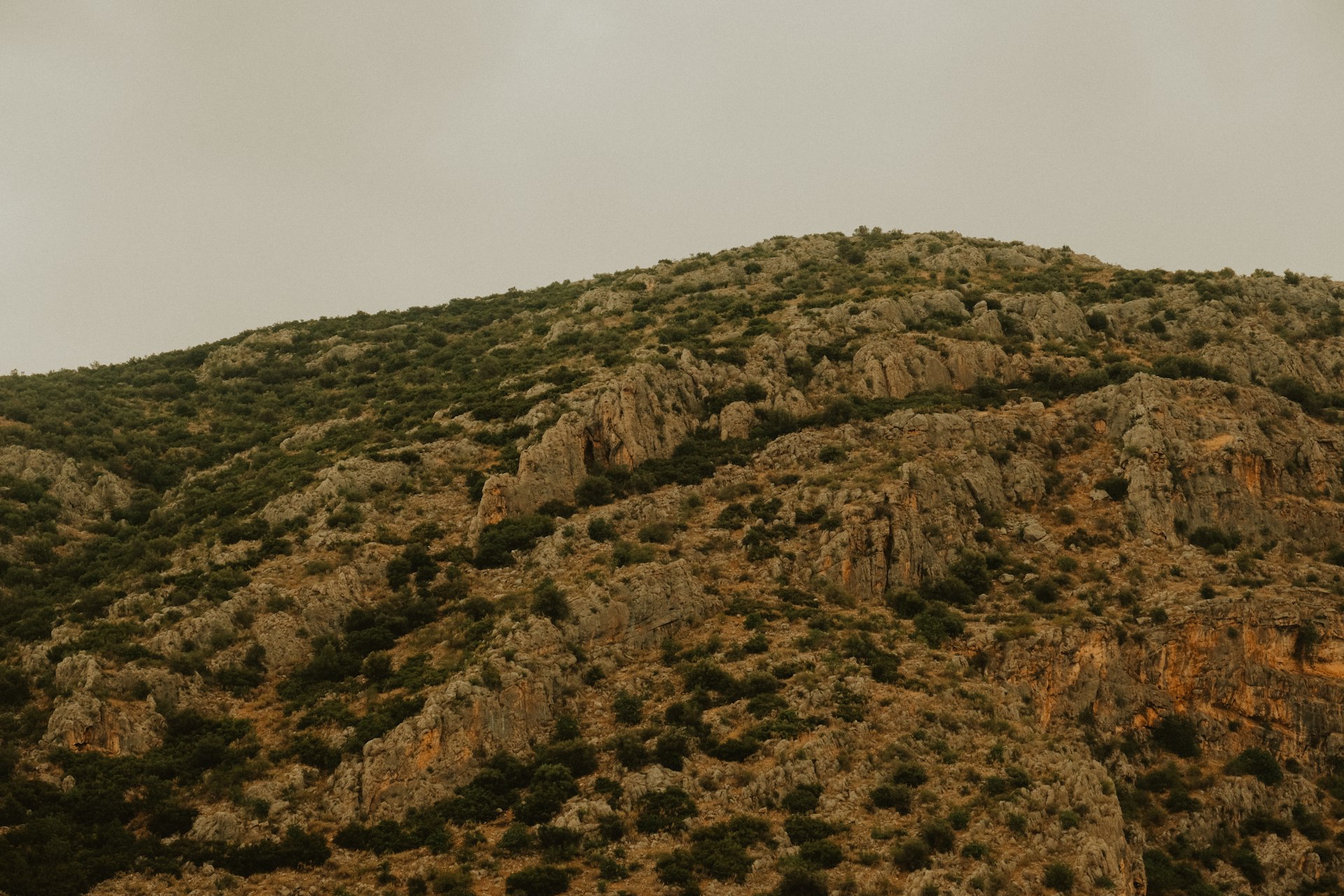 a very tall mountain covered in lots of trees