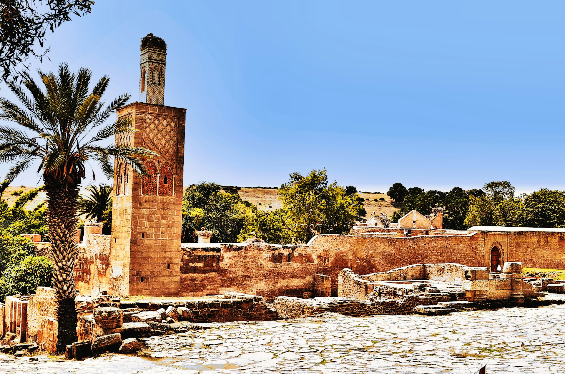 A large brick building with a palm tree in front of it