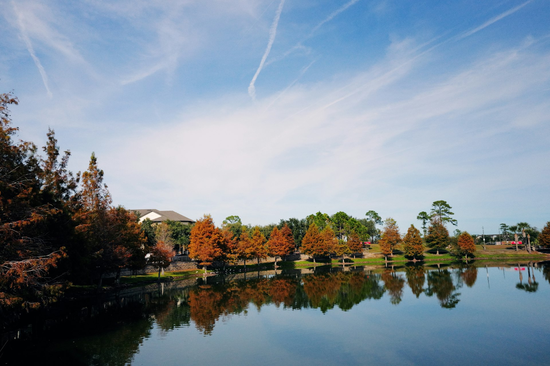 A body of water surrounded by lots of trees