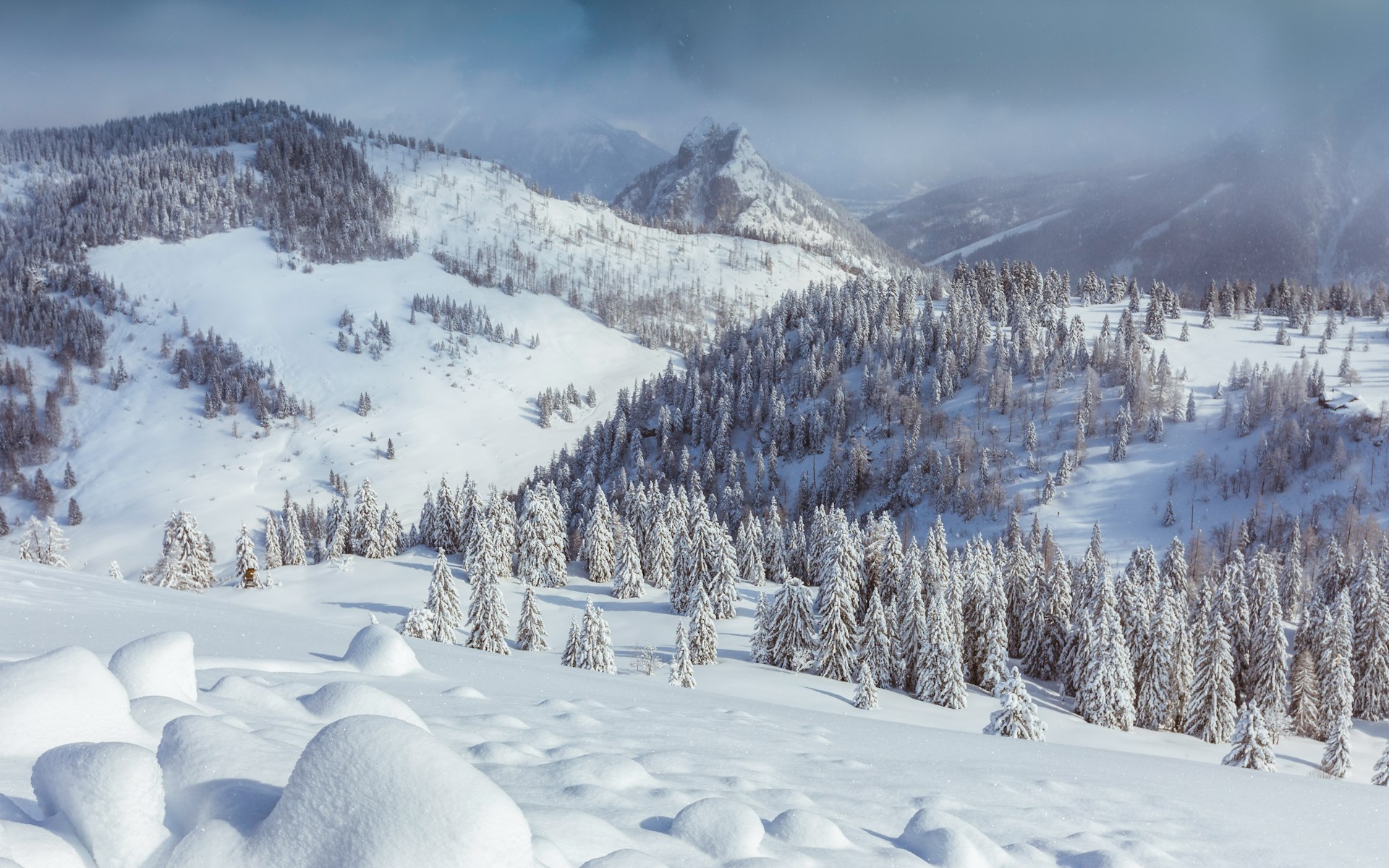 snow-covered pine tree in mountain under cloudy sky