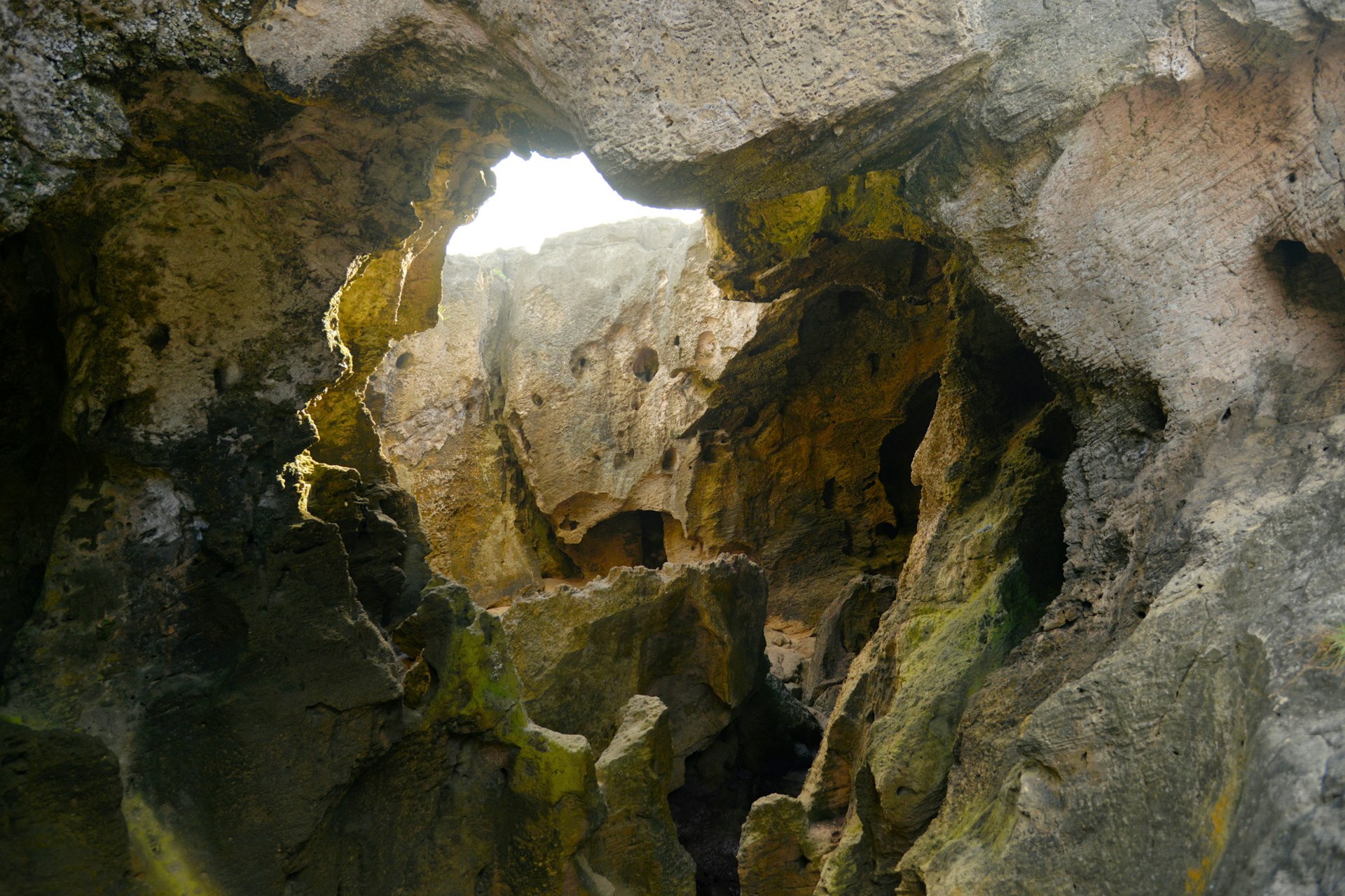 A rocky cave with an opening to the sky.