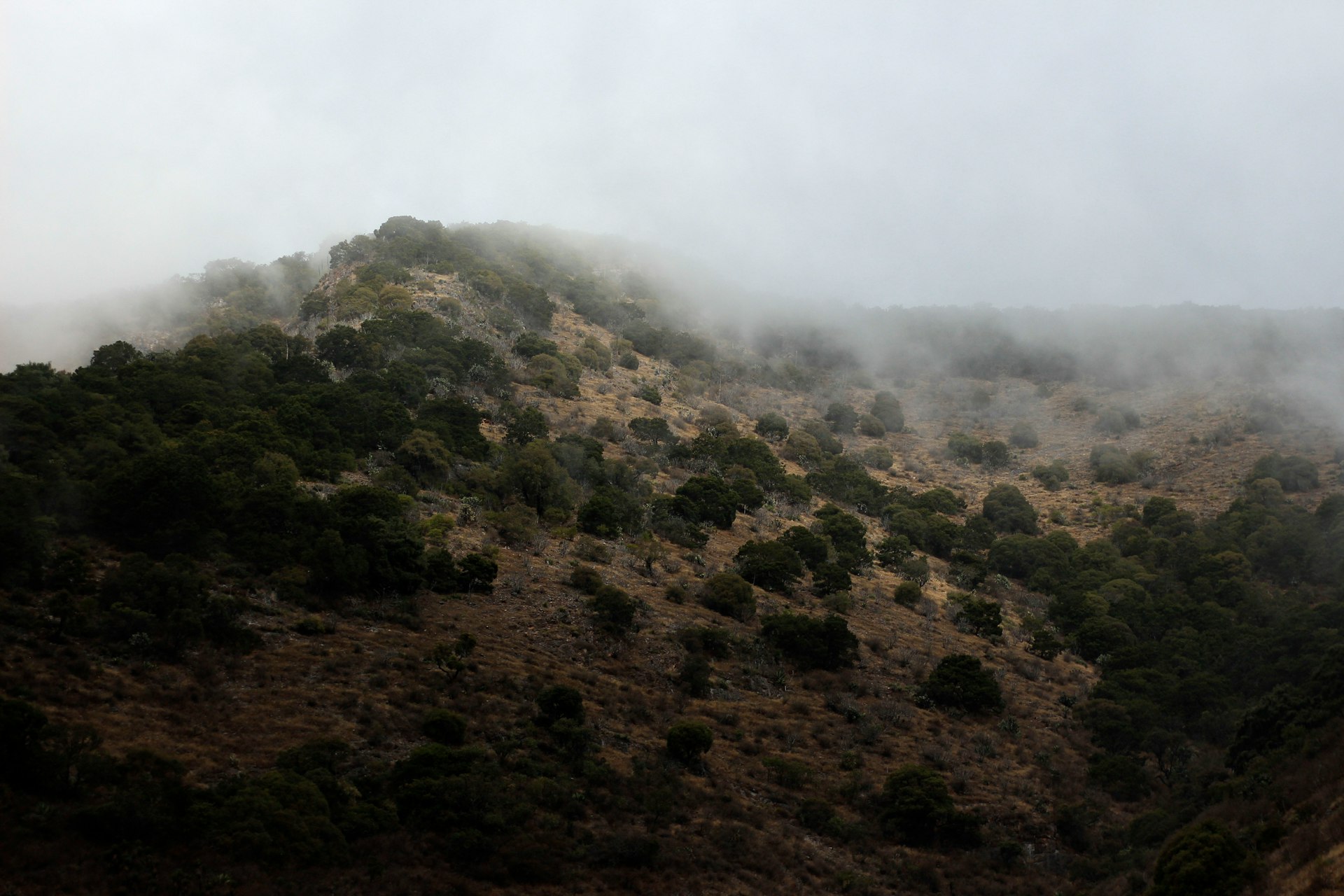 green and brown mountain under white clouds
