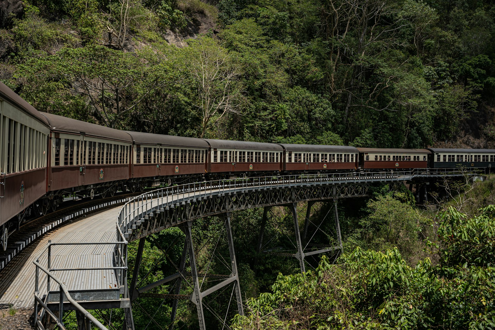 a train traveling over a bridge in the middle of a forest