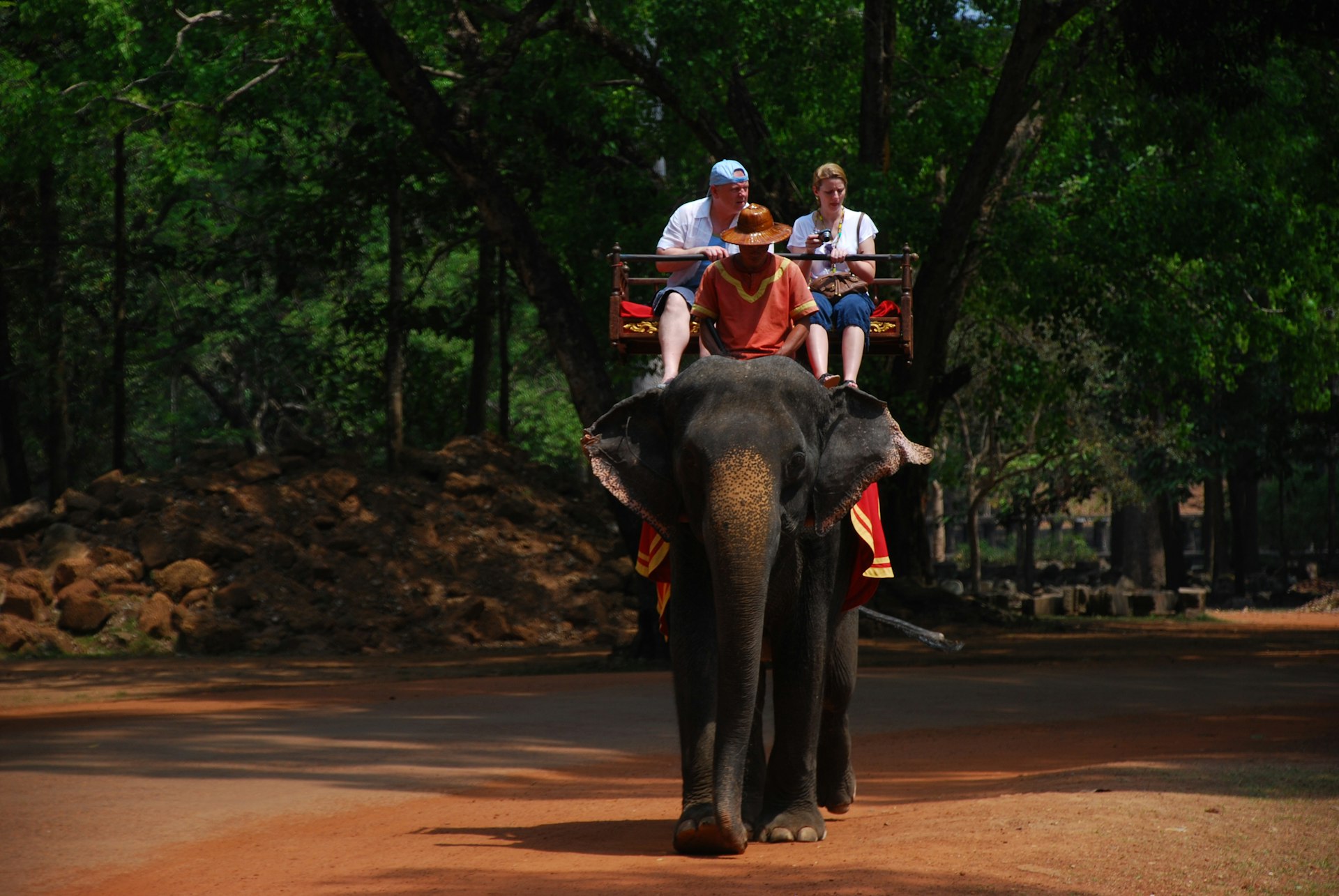 people riding on black elephant during daytime