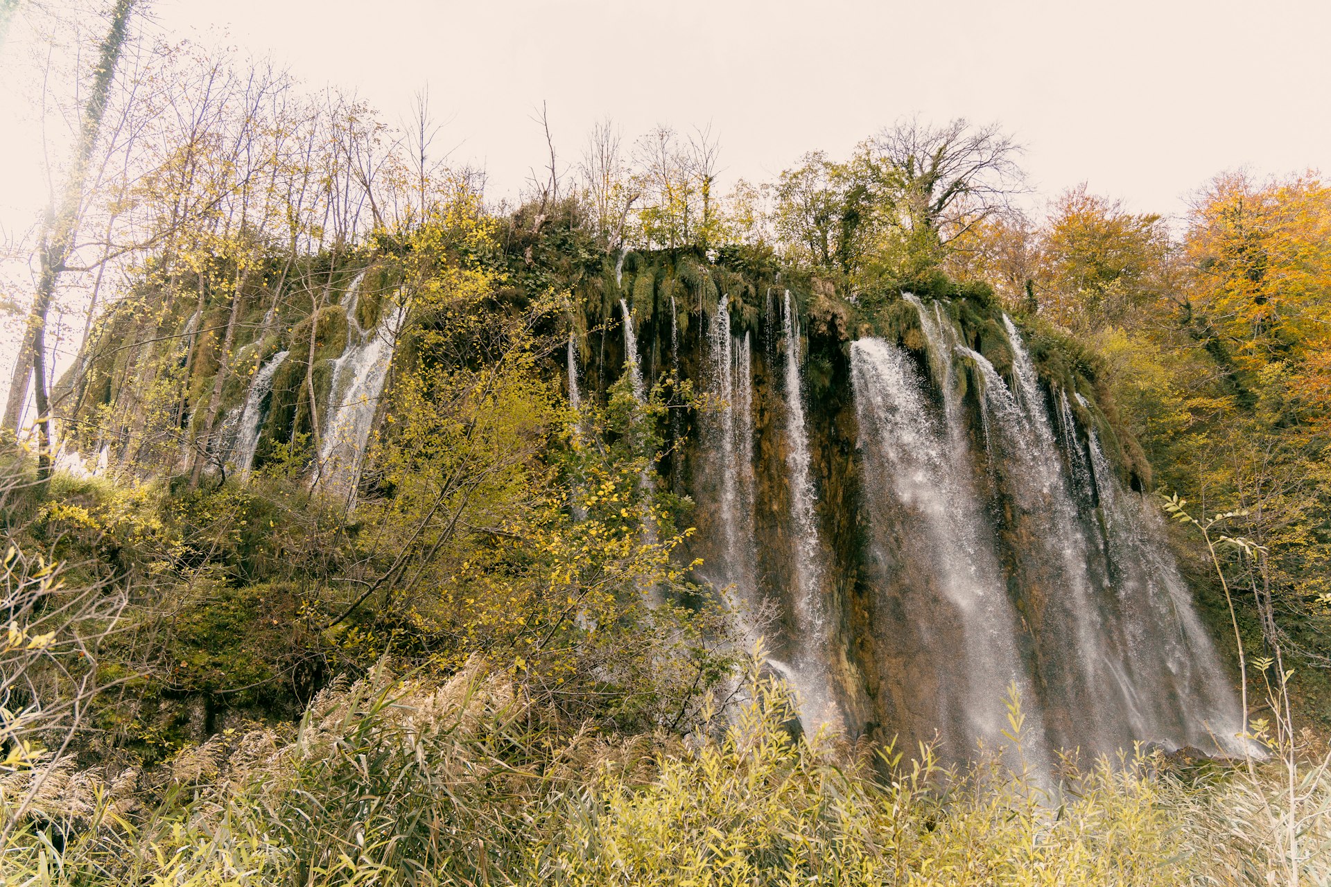 a large waterfall in the middle of a forest