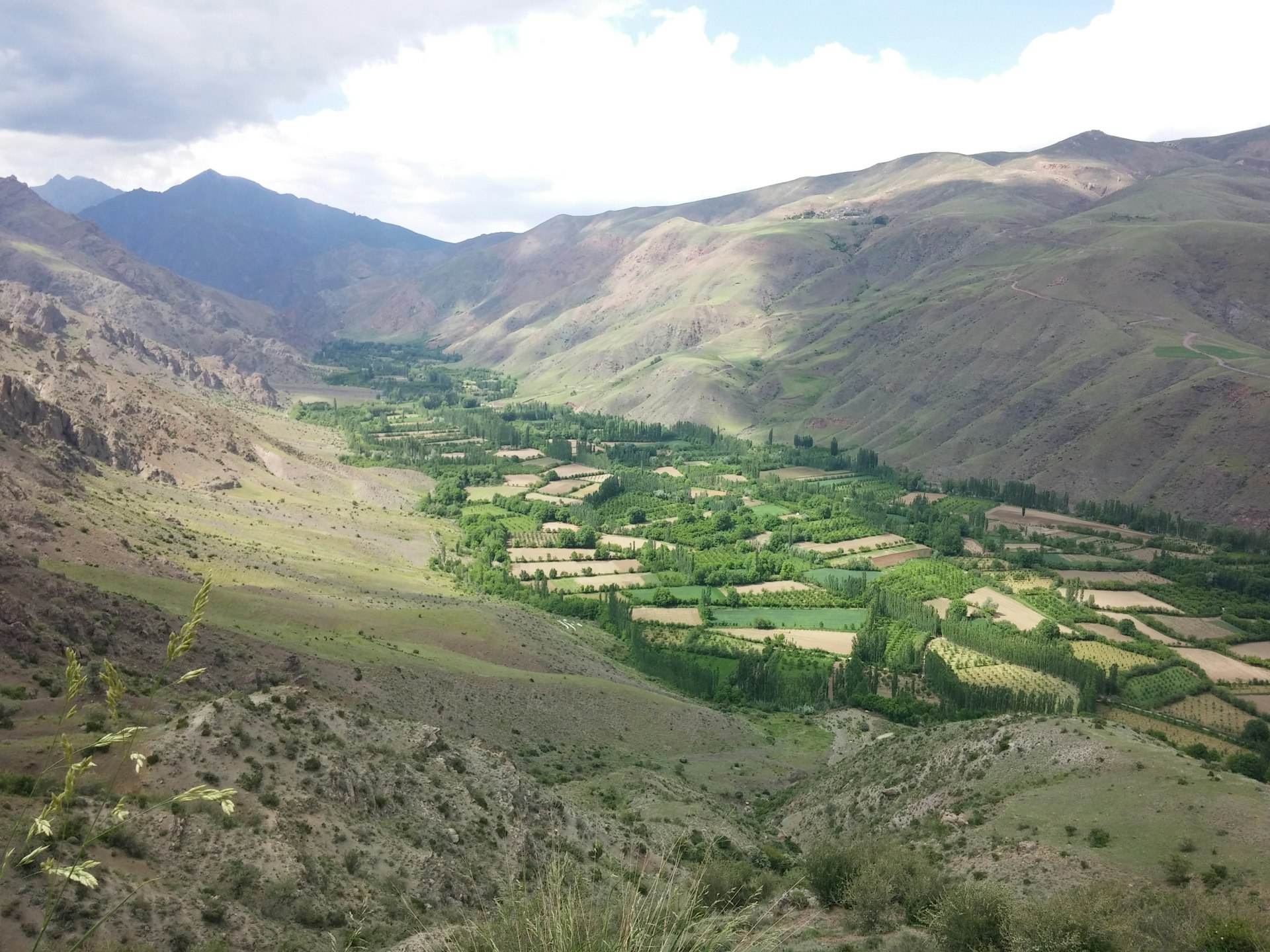 green grass field and mountains during daytime