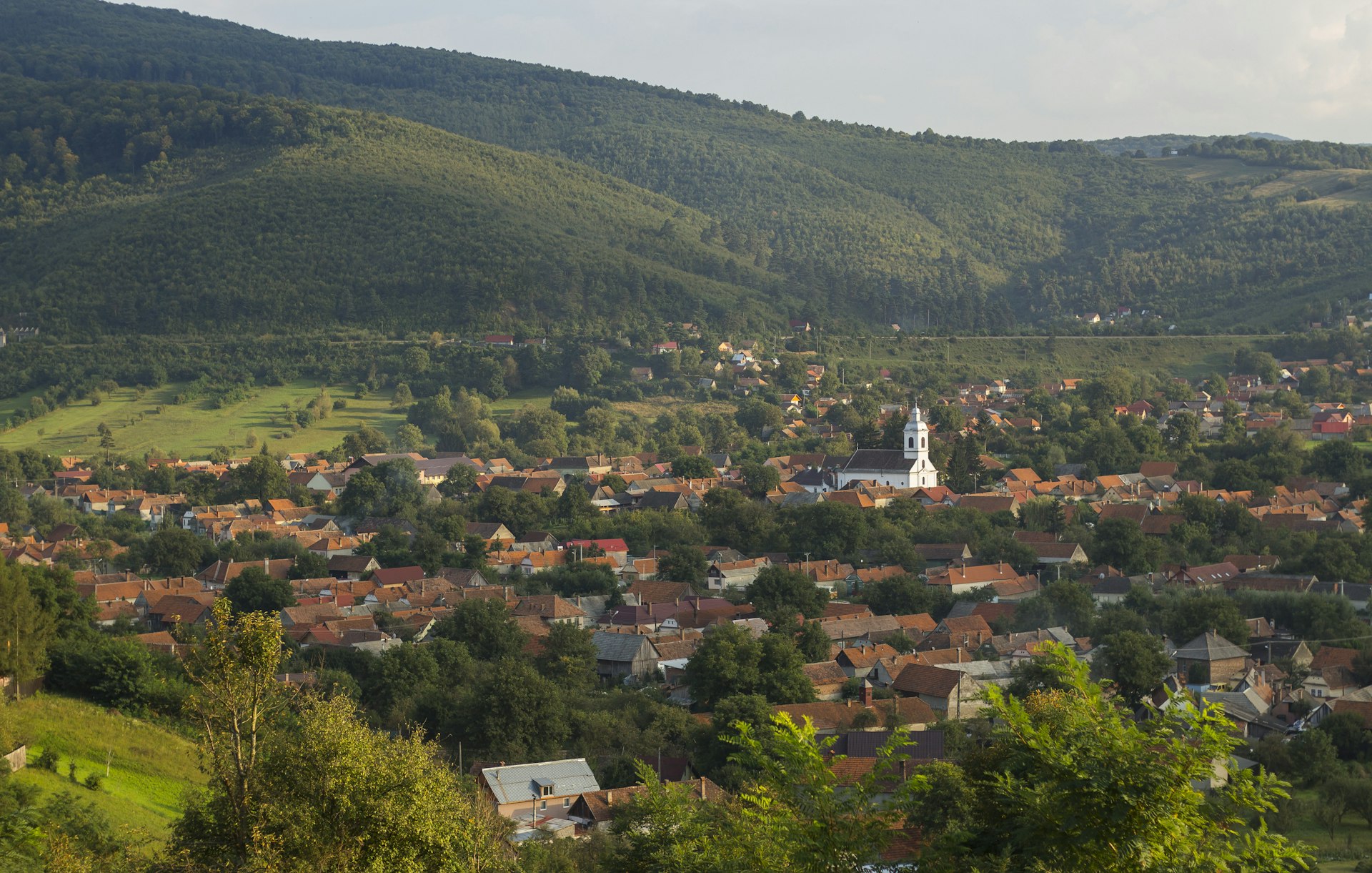 aerial view of city during daytime