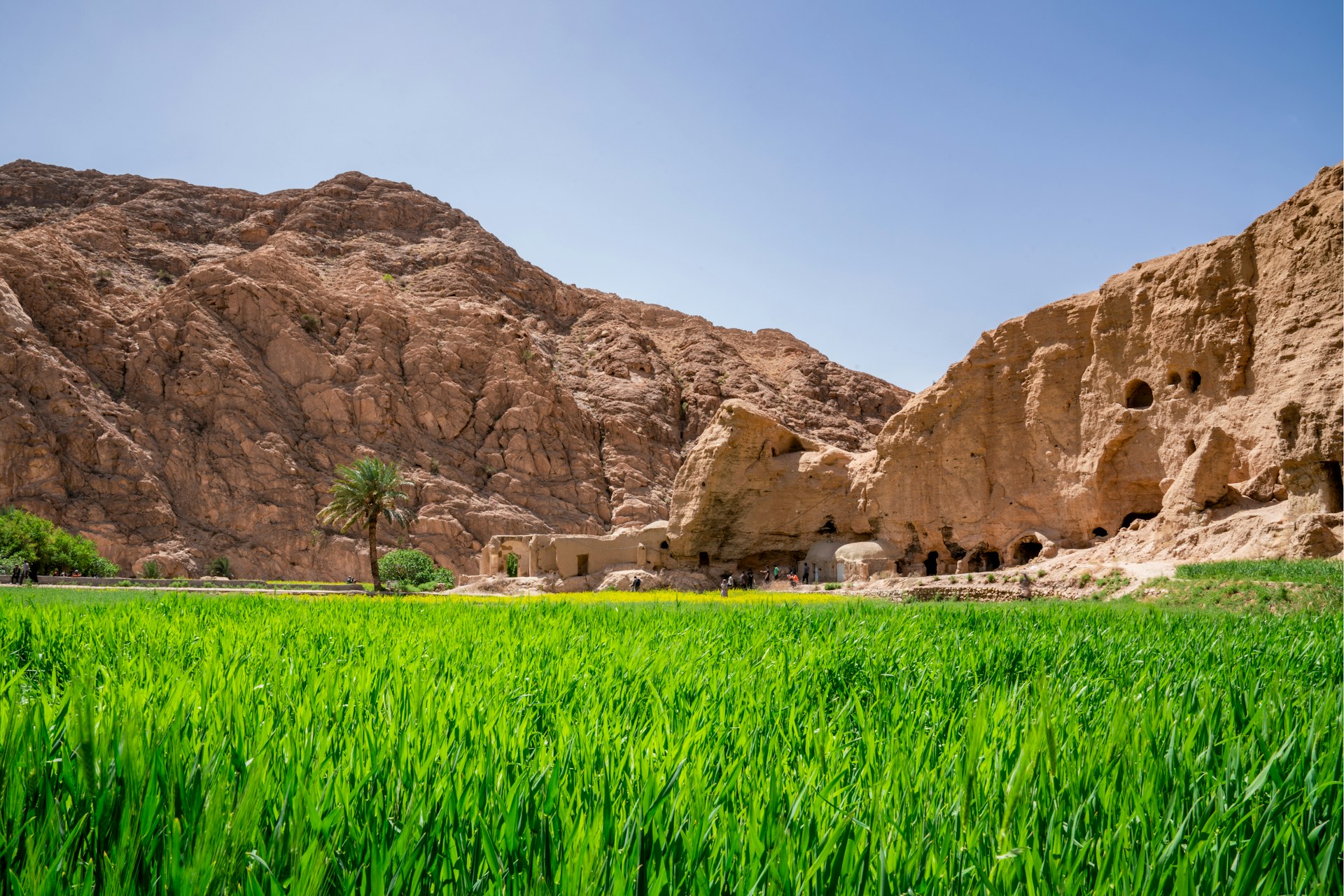 a field of green grass in front of a mountain