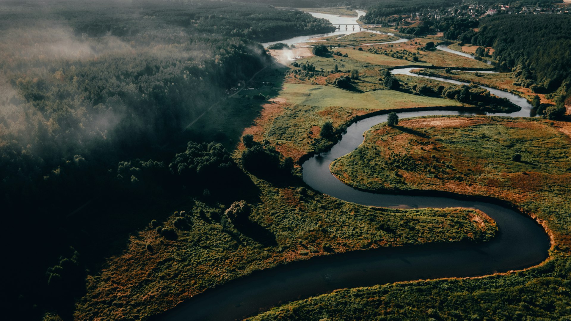aerial view of river between trees during daytime