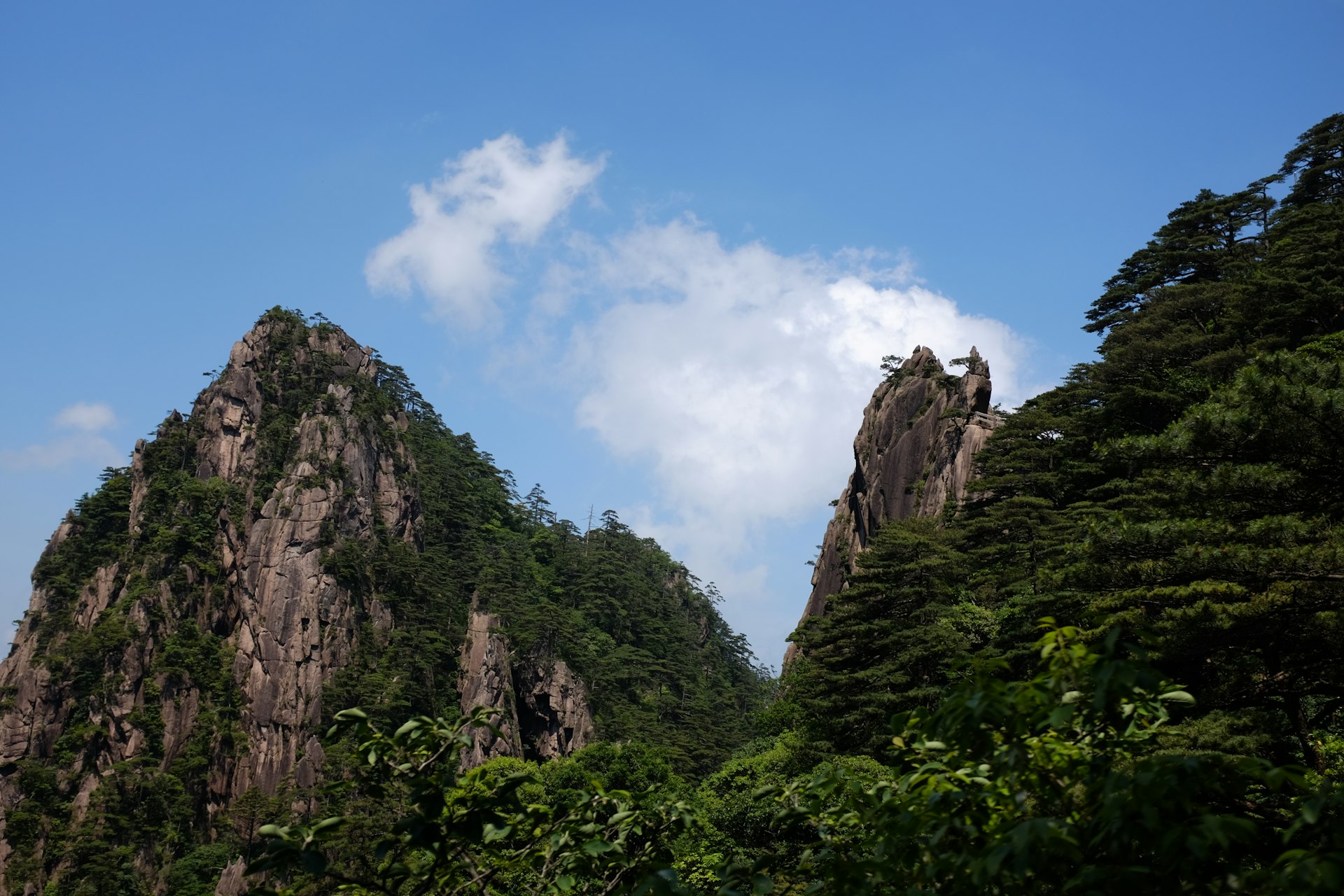 A group of mountains in the middle of a forest