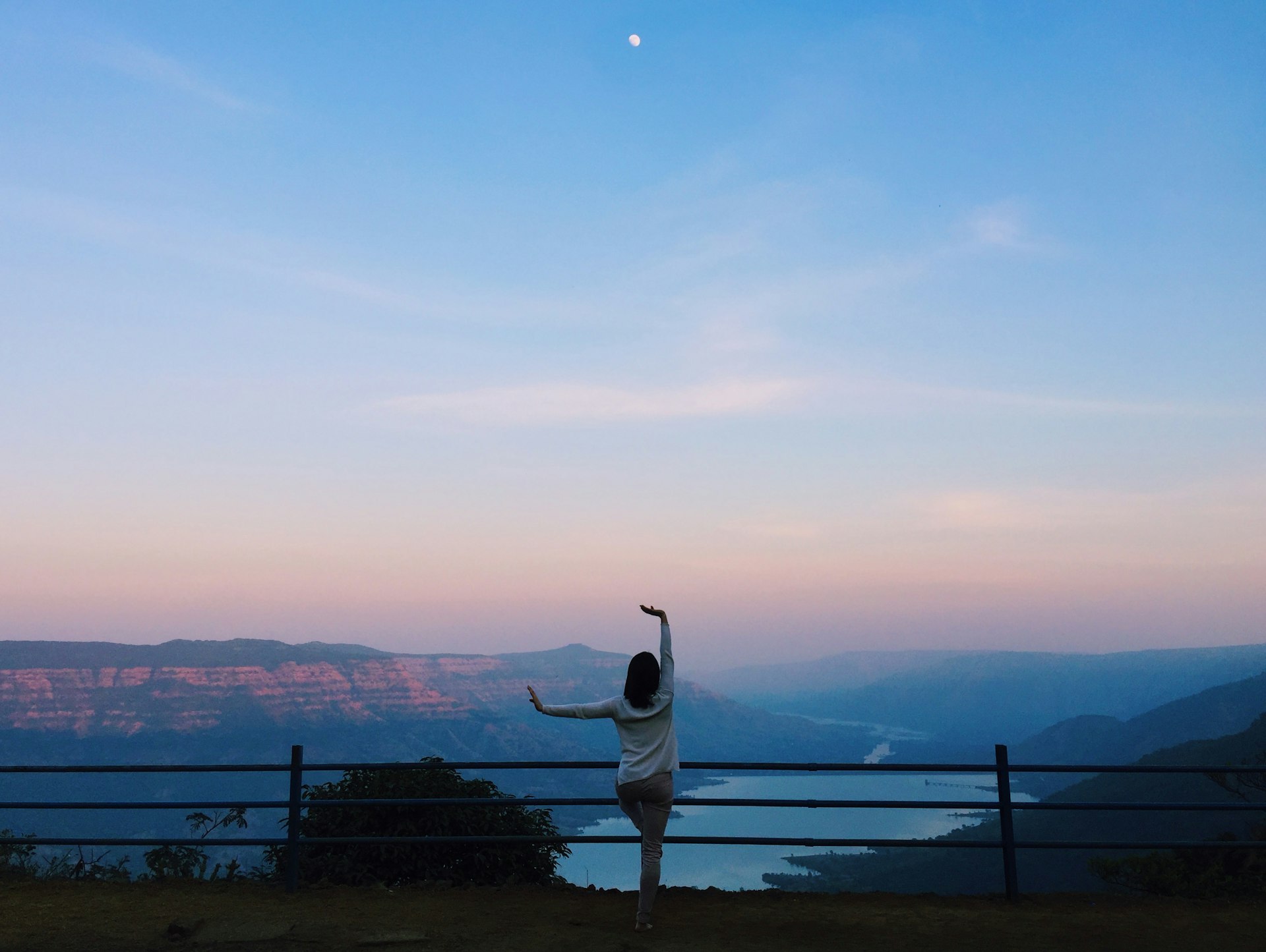 white and black bird on brown wooden fence during daytime