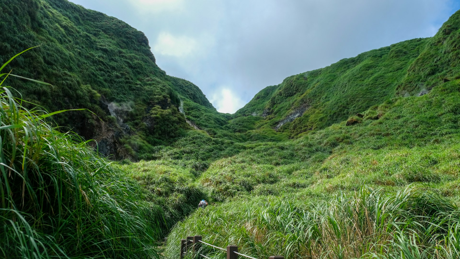 a grassy hill with a fence