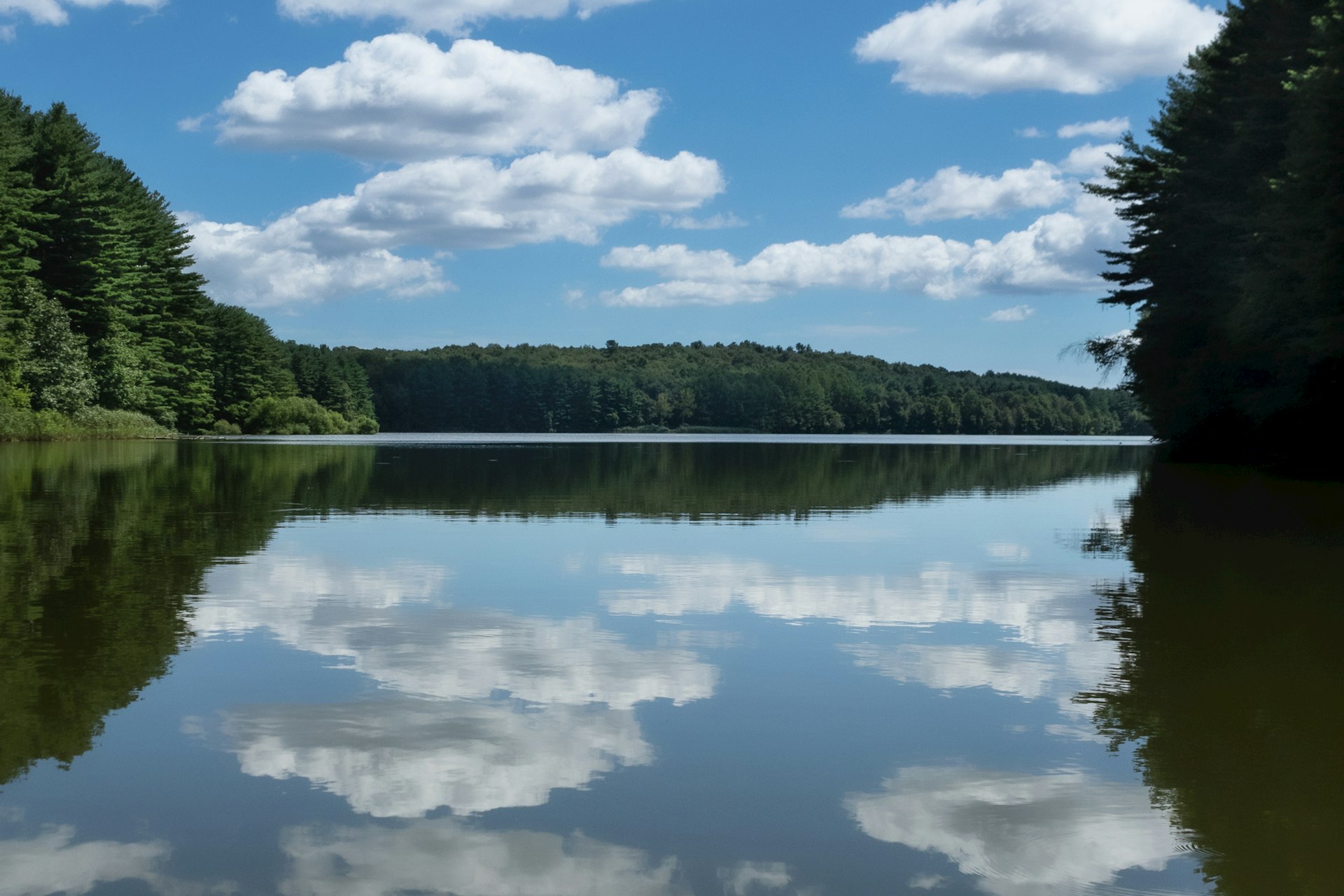 A body of water surrounded by trees and clouds