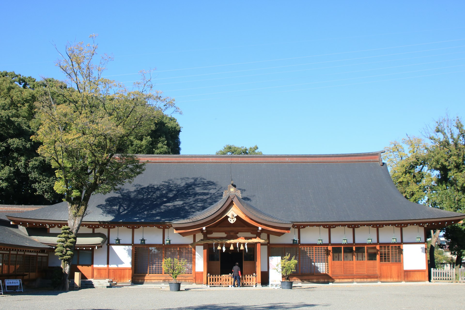 A large building with a tree in front of it