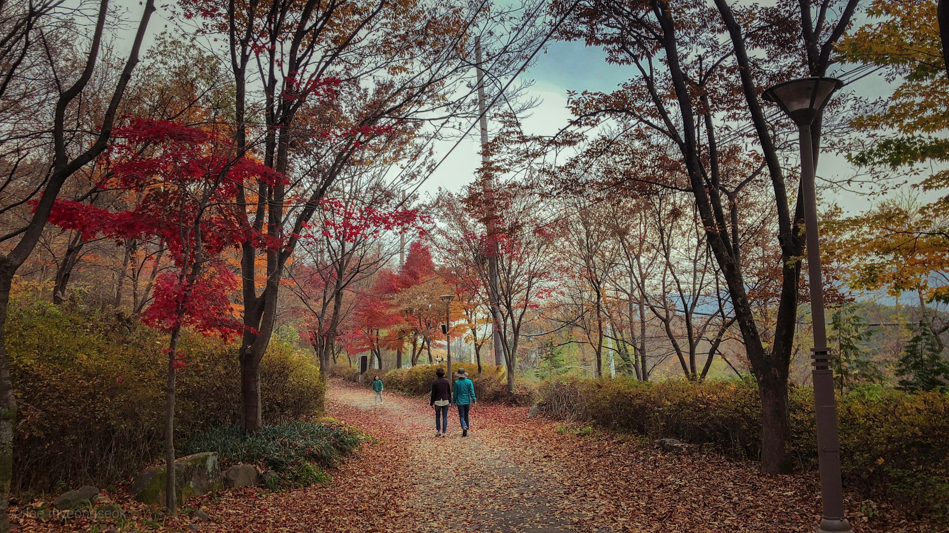 people walking on road