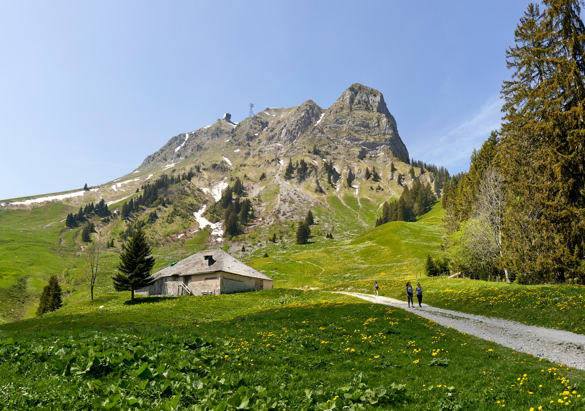 white and brown house on green grass field near mountain under blue sky during daytime