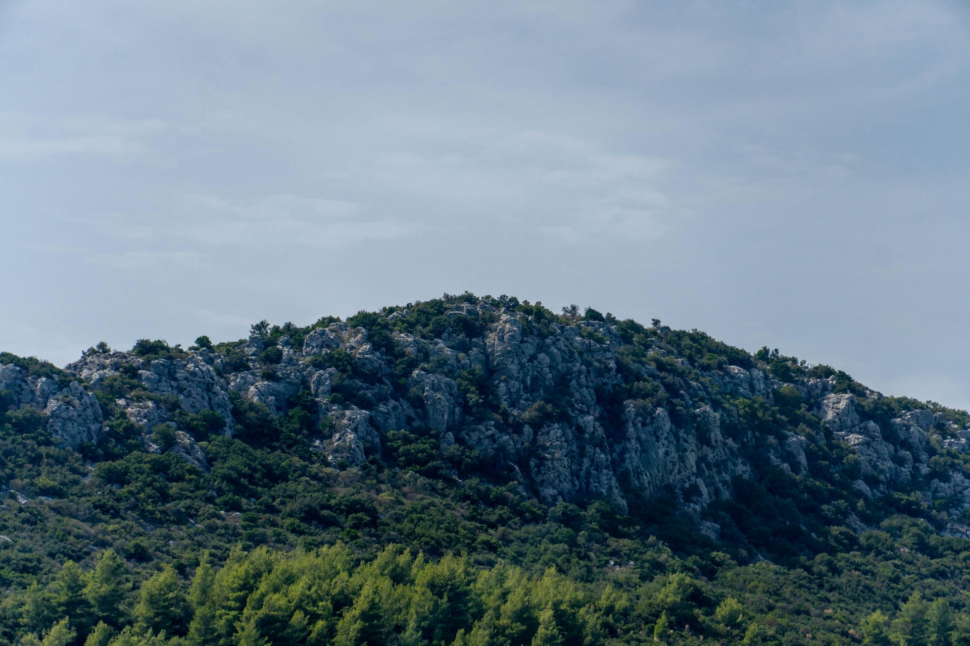 a large mountain with trees on top of it