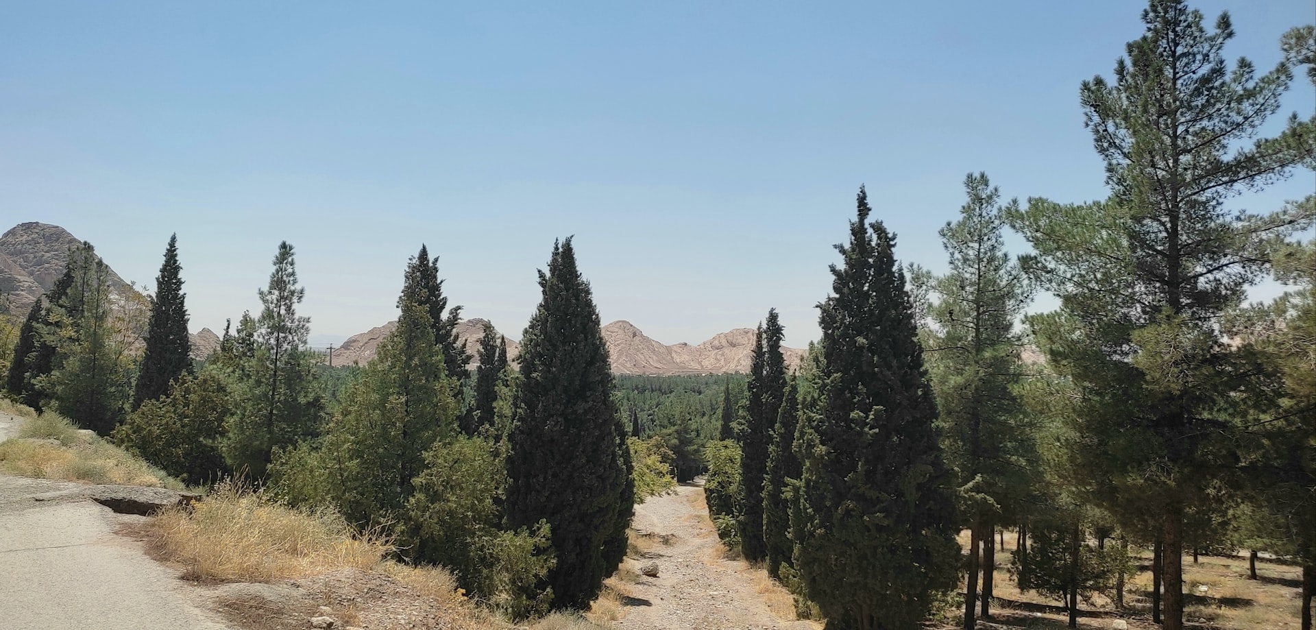 a dirt road surrounded by trees and mountains