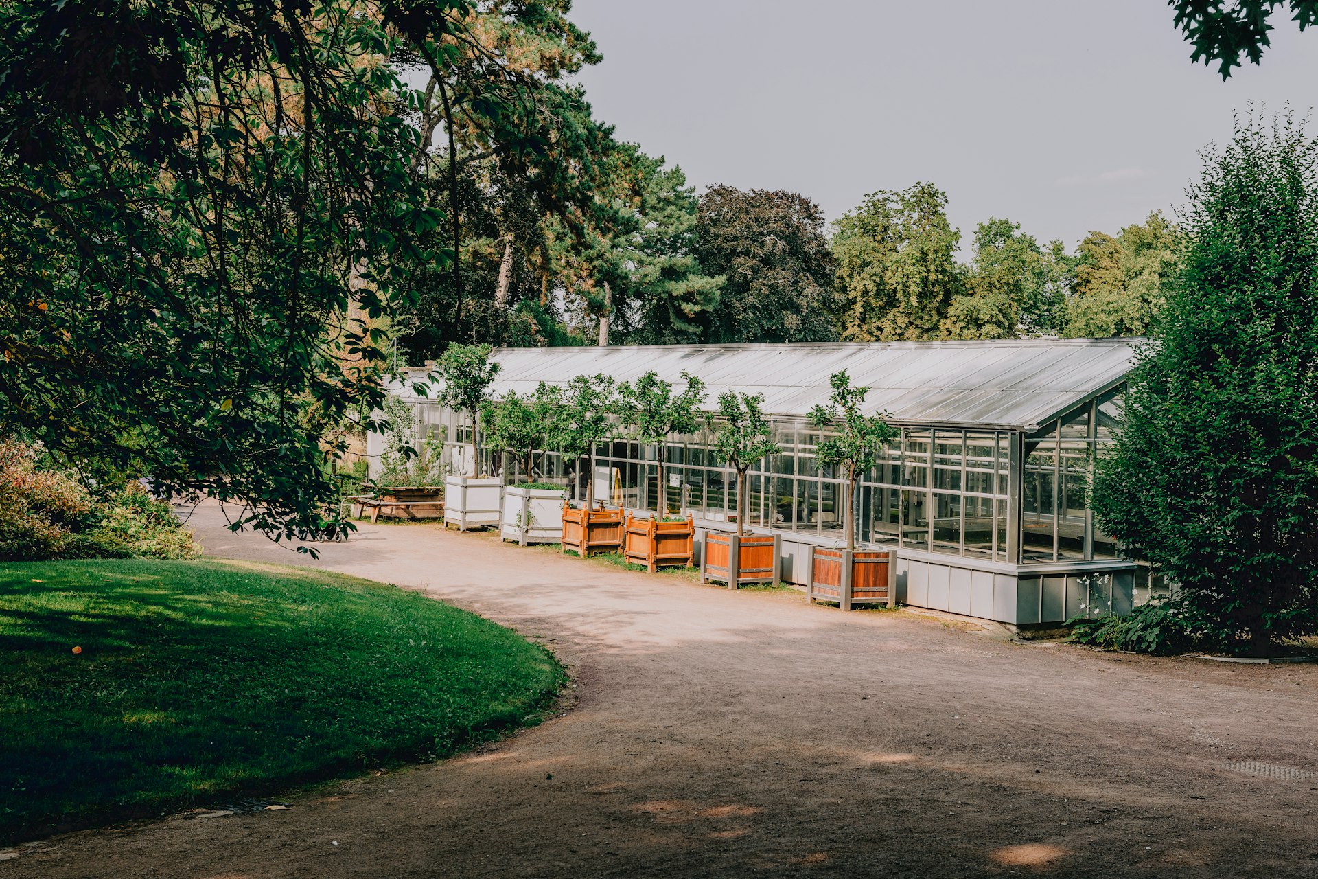 A large green house sitting next to a lush green forest