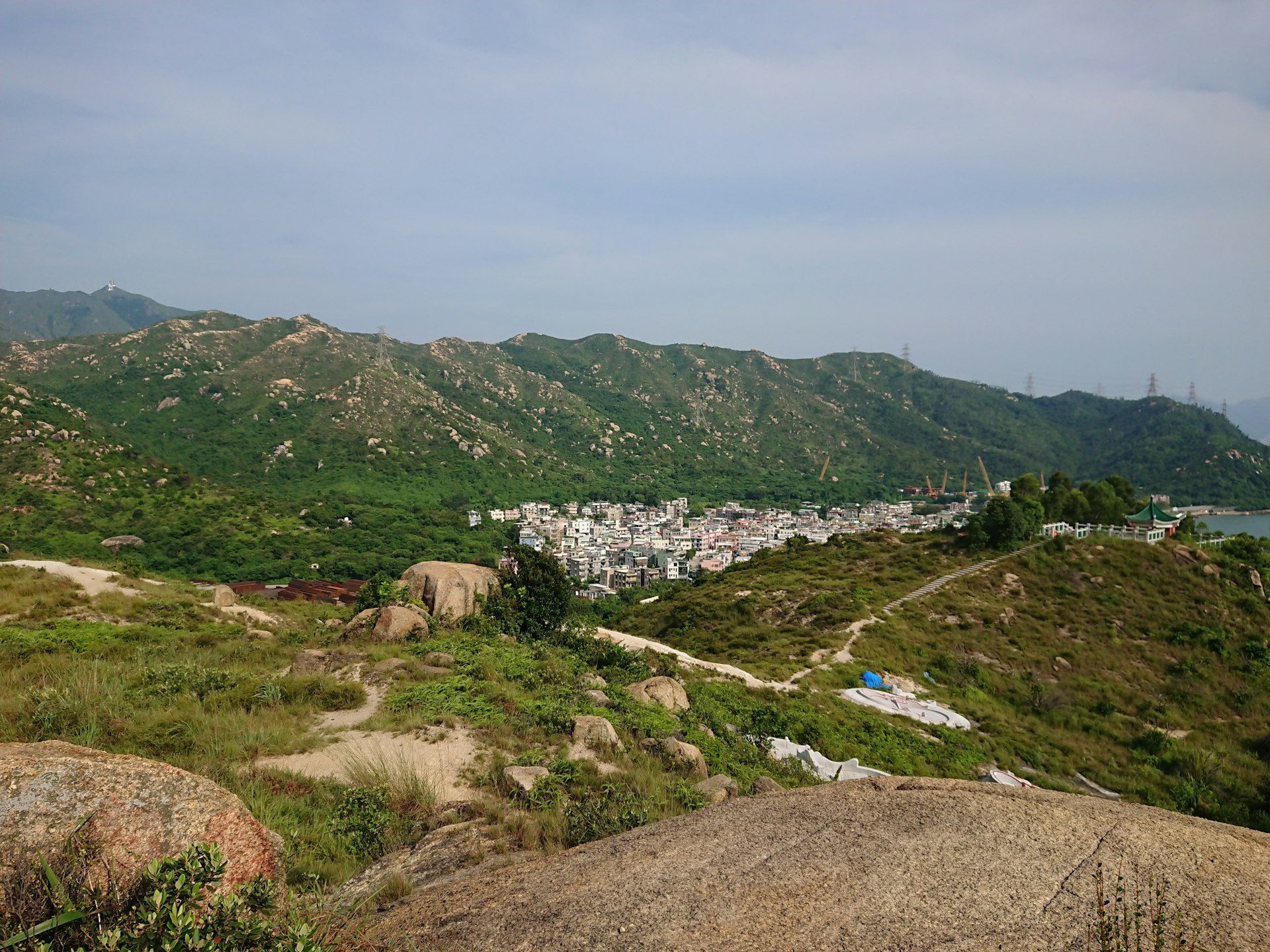 green grasses under blue sky