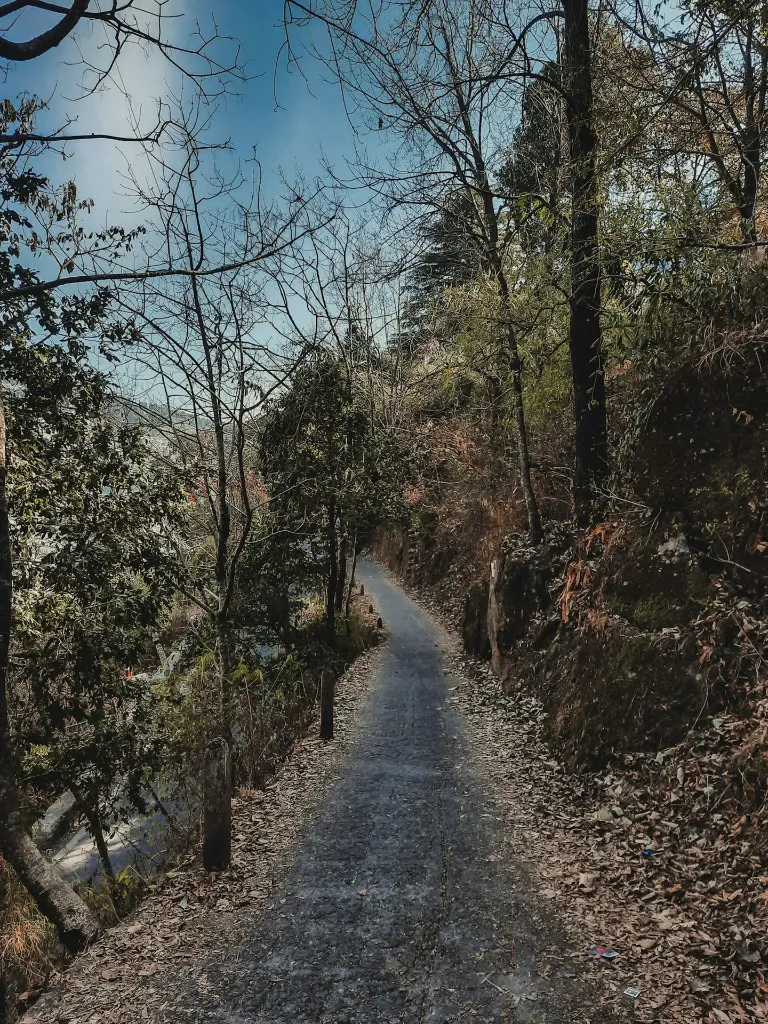 unsplash_nw3oFGkmt-0_Nainital .webp.jpg