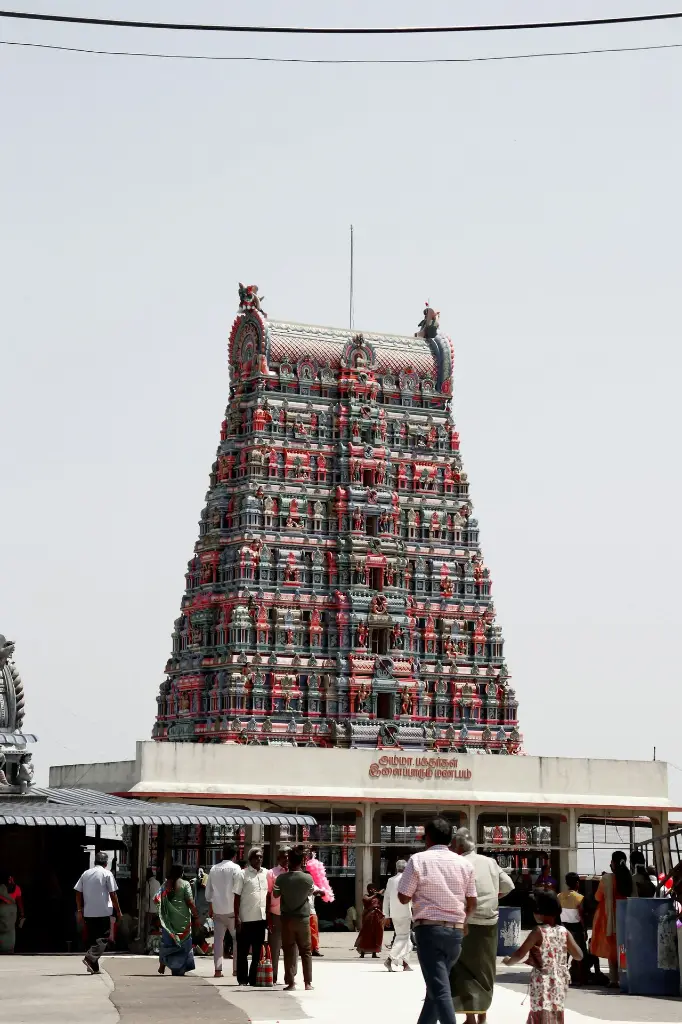 unsplash_V8XPIBEzqx0_lotus Botanical Garden.webp.jpg.jpg.jpg