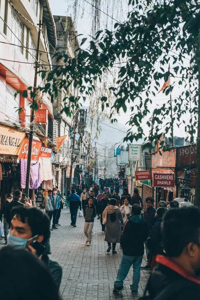 unsplash_mFZfgvvm86Q_Darjeeling .webp.jpg.jpg