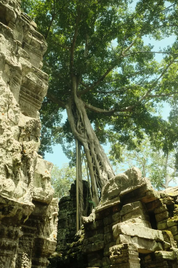 unsplash_V1_wv0VaRWo_Angkor Thom .webp.jpg.jpg