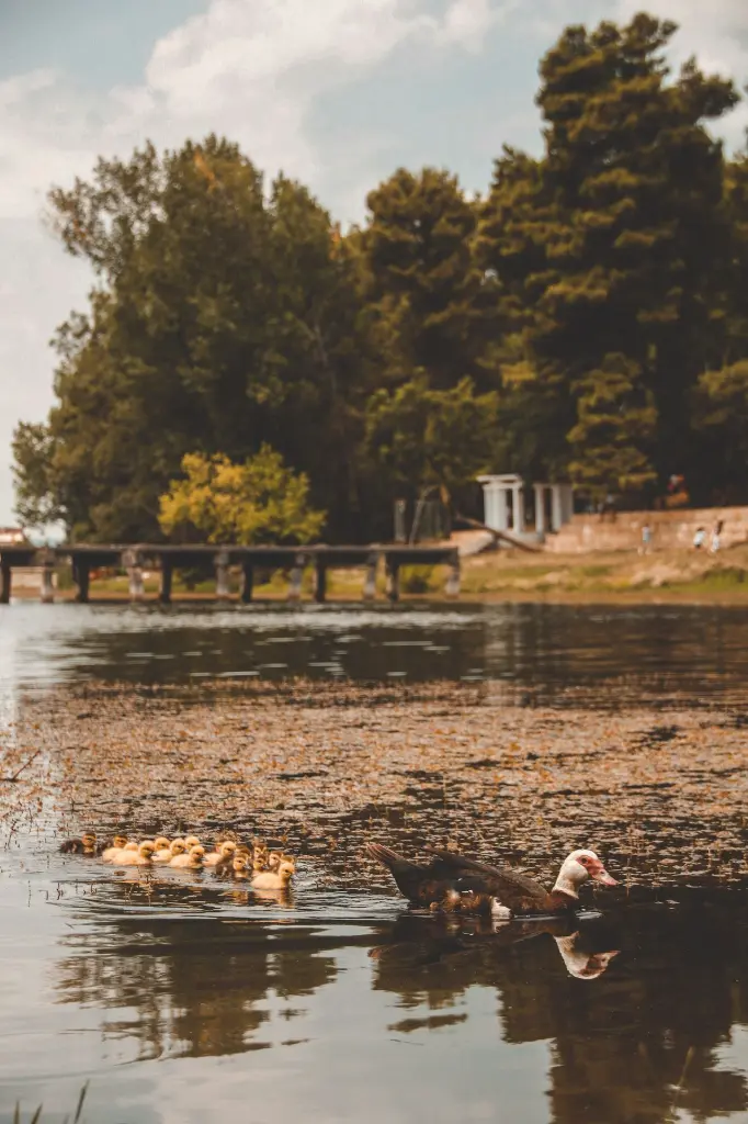 unsplash_4wknbqu_90c_TIRANA .webp.jpg.jpg