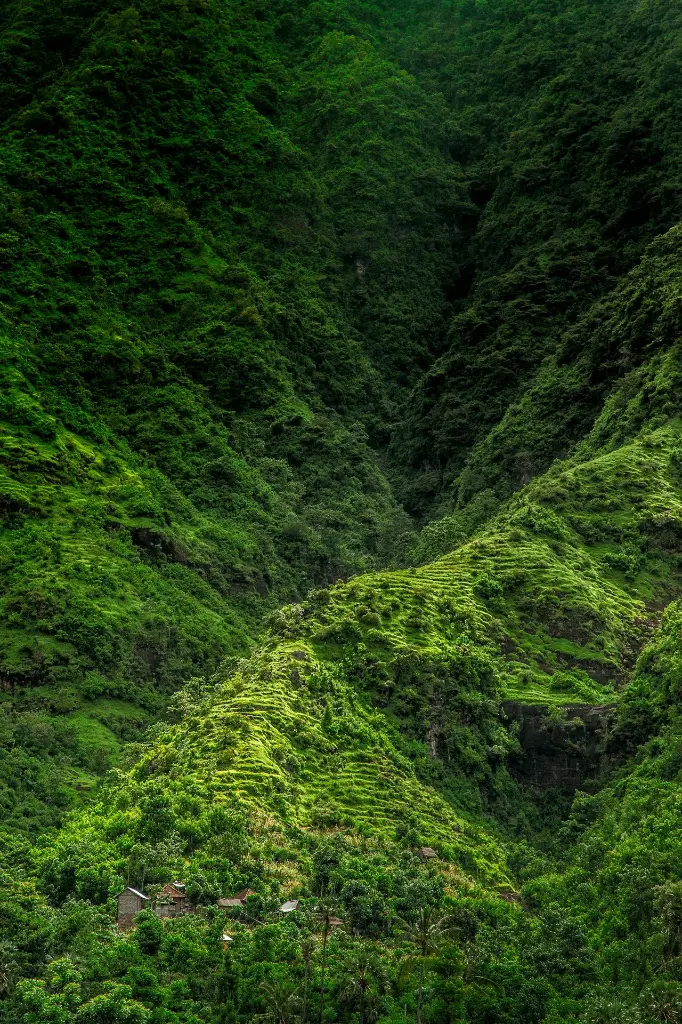 unsplash_sgTFRVQzX1I_green valley.webp