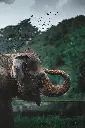 unsplash_cbNVRnlntZ8_Pinnawala Elephant Orphanage.webp