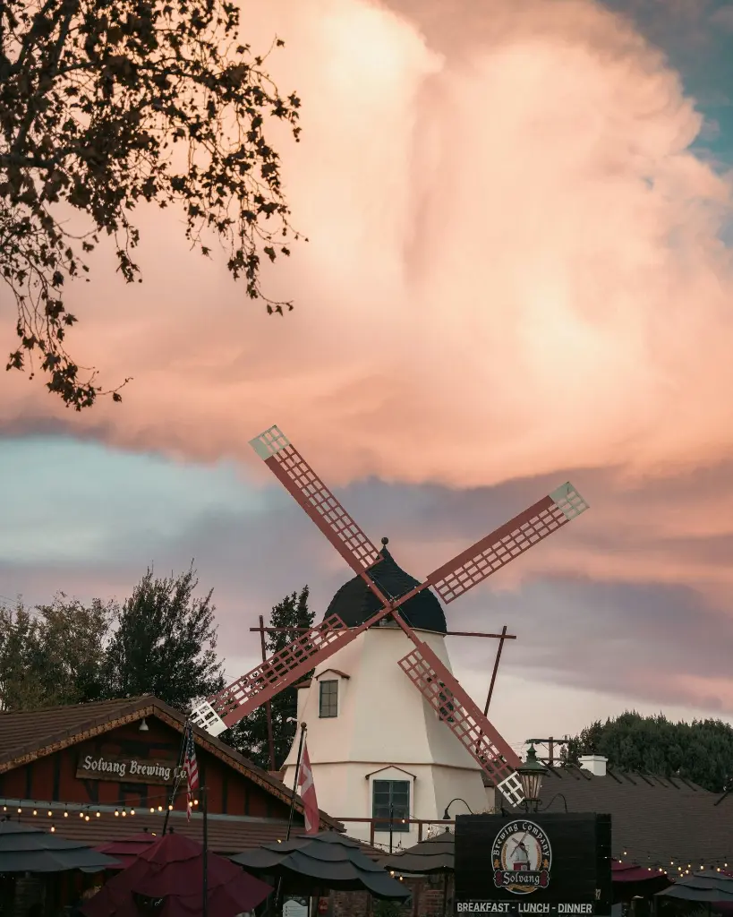 unsplash_QHjuBIzgtvY_LOS ANGELES.webp.jpg