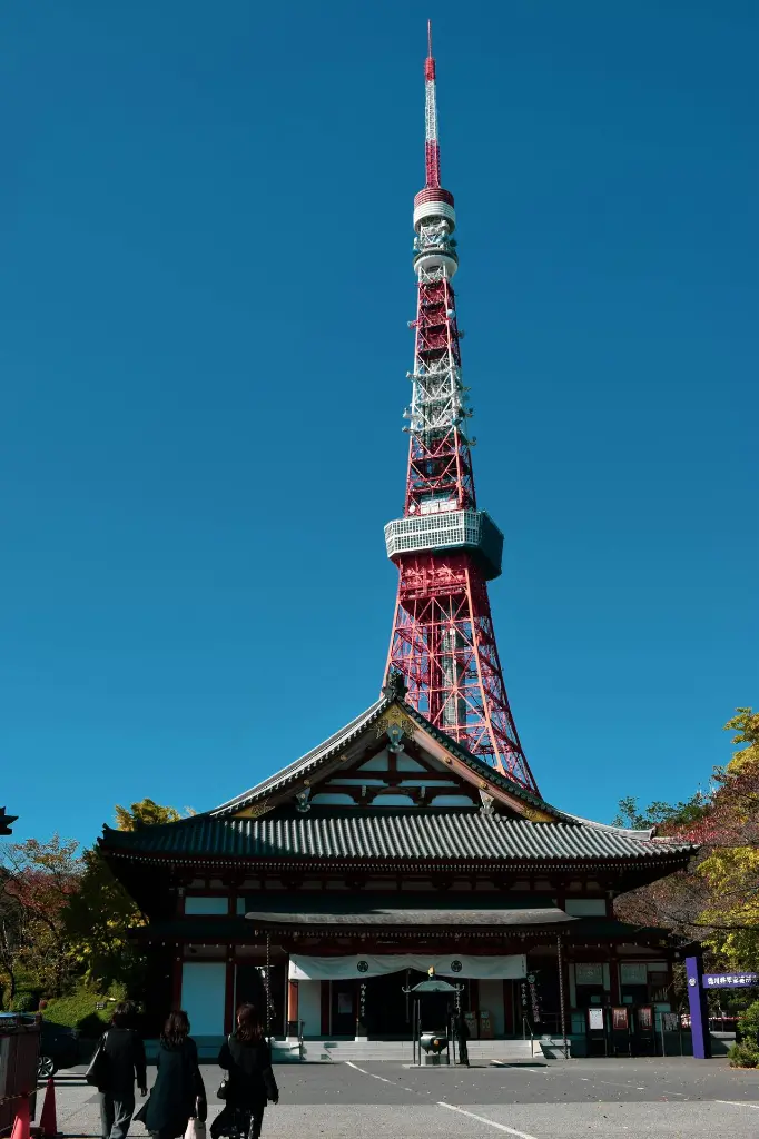 unsplash_dyI5MVgA-JE_Zojoji .webp