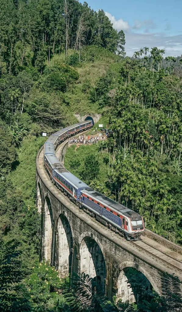 unsplash_gE1qG4s8DKY_rail bridge  forest.webp
