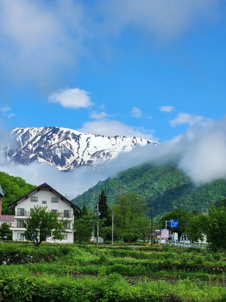 unsplash_JsP1txp2YxM_south Korea.webp.jpg.jpg.jpg.jpg.jpg.jpg.jpg.jpg