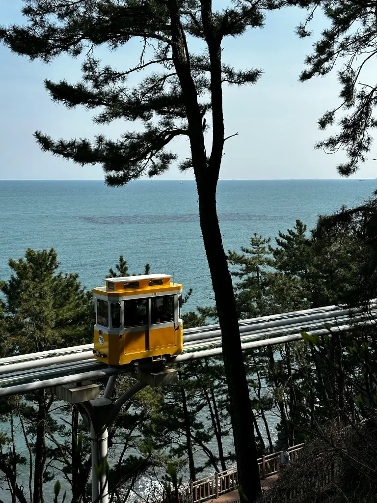 unsplash_YvzyuNmyUfw_South Korea.webp.jpg.jpg.jpg