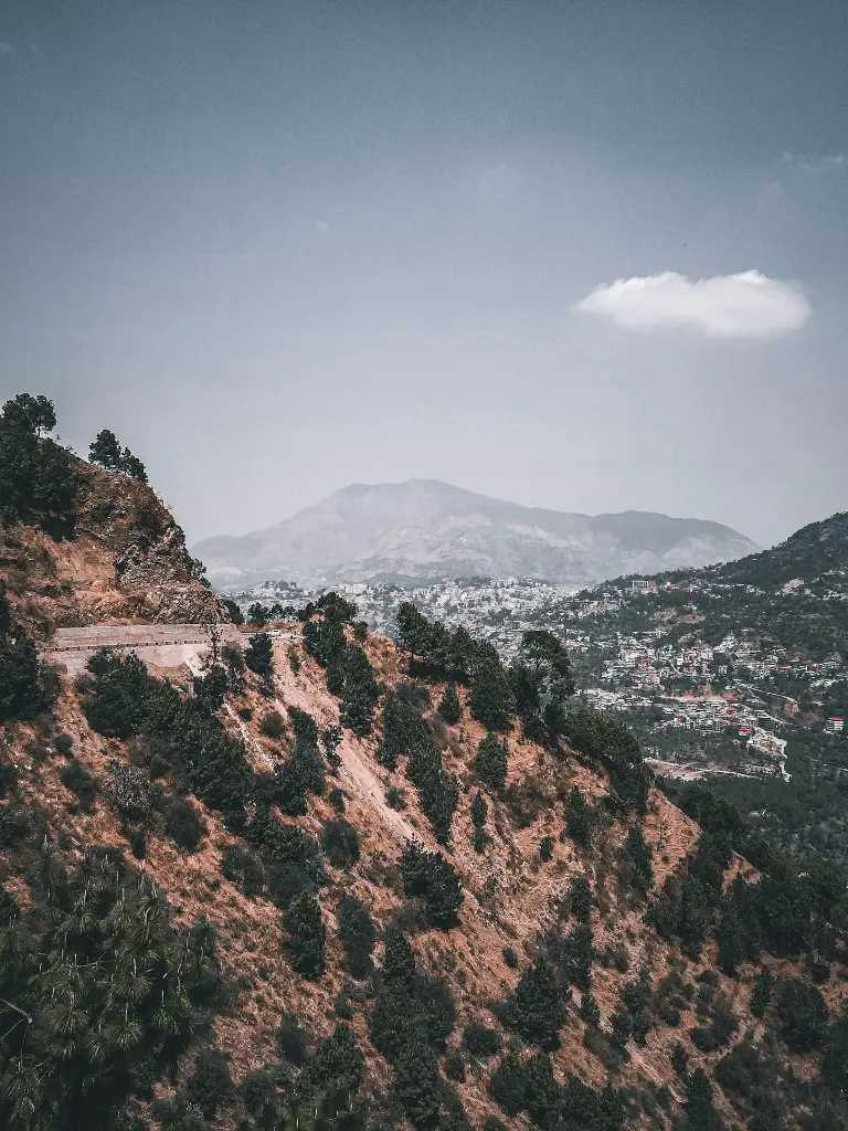 unsplash_uhPd-KKXIs0_Himalayan .webp.jpg