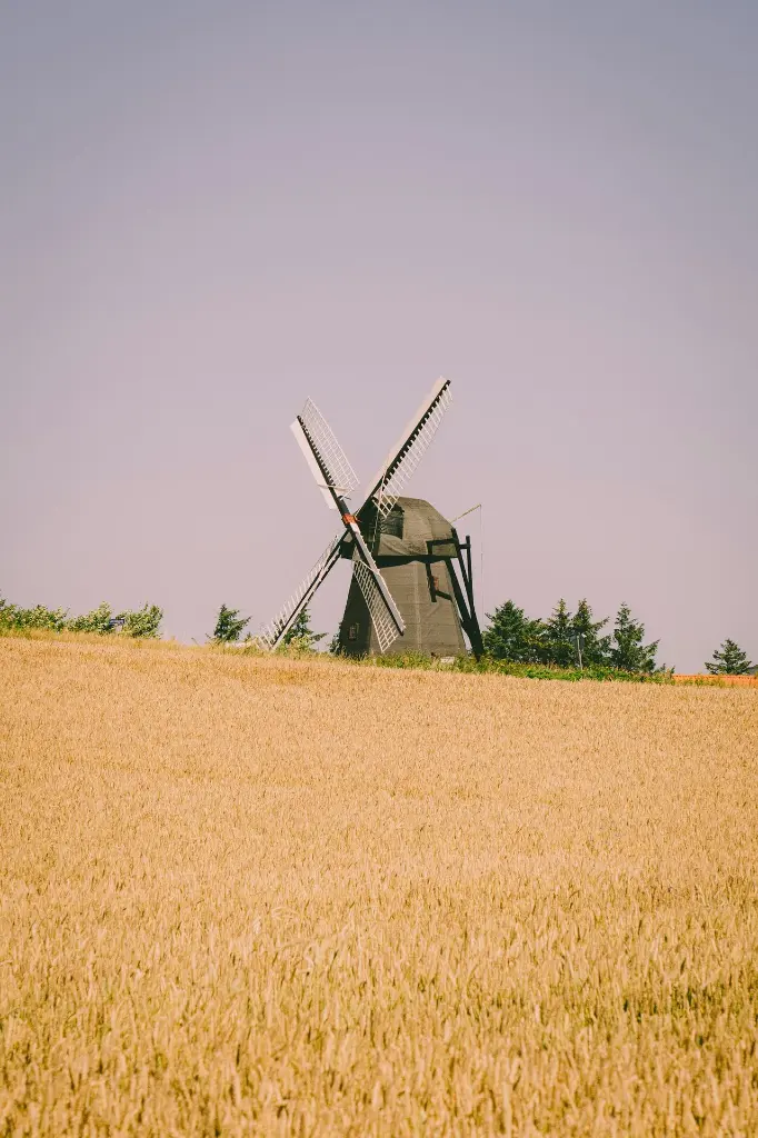 unsplash_T45OYfiLYhg_dENMARK.webp.jpg.jpg.jpg.jpg.jpg.jpg.jpg.jpg.jpg