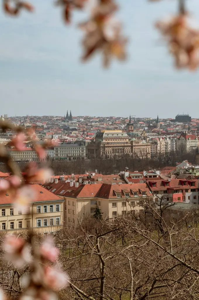 unsplash_WIysHPkm50E_CZECH REPUBLIC.webp.jpg.jpg.jpg.jpg.jpg
