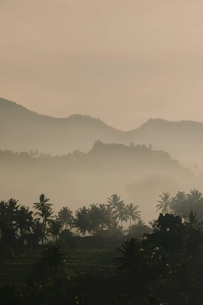 unsplash_IJH1G5AzLLw_Bali.webp