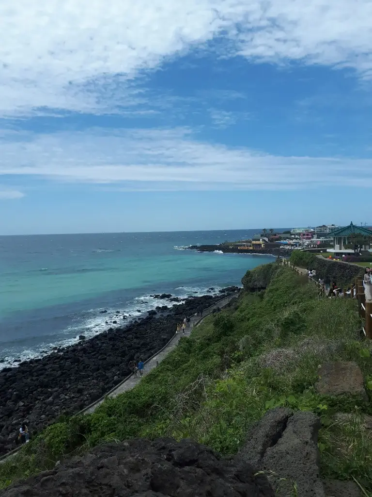 Hospitor : Just Jeju : South Korea (1, 0, 0, 0)